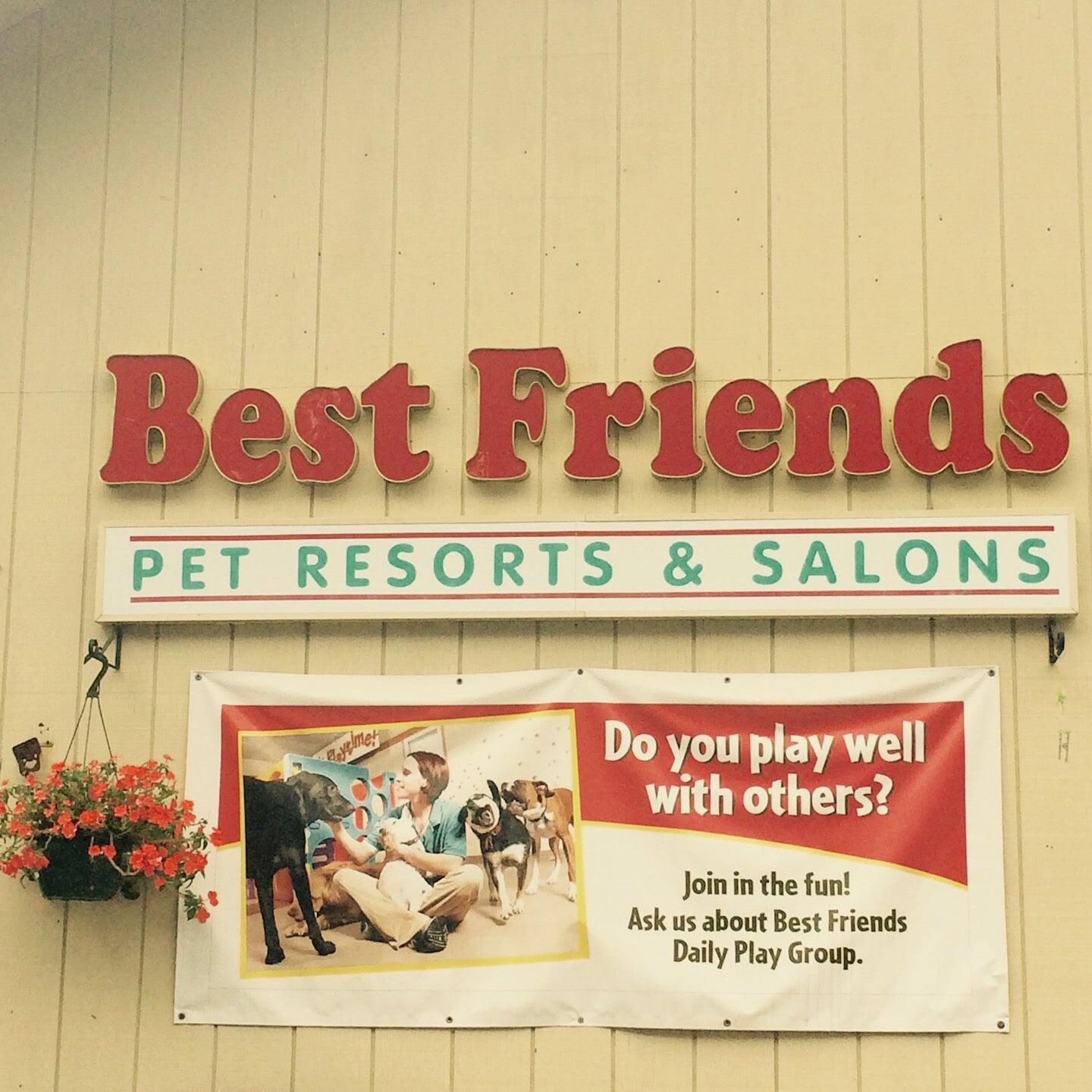 Best Friends Pet Hotel Wakefield