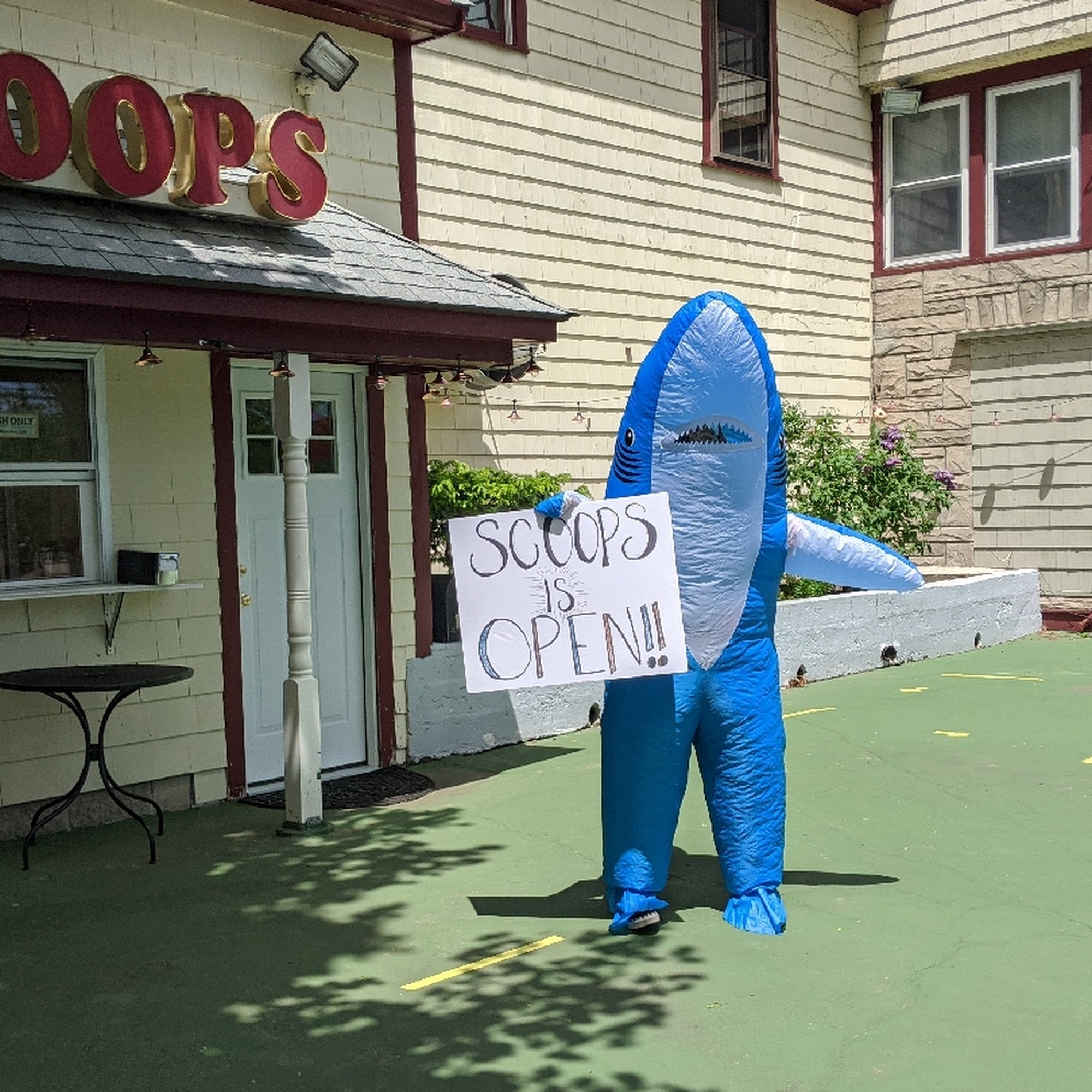 Scoops @Watson'sCandy Walpole