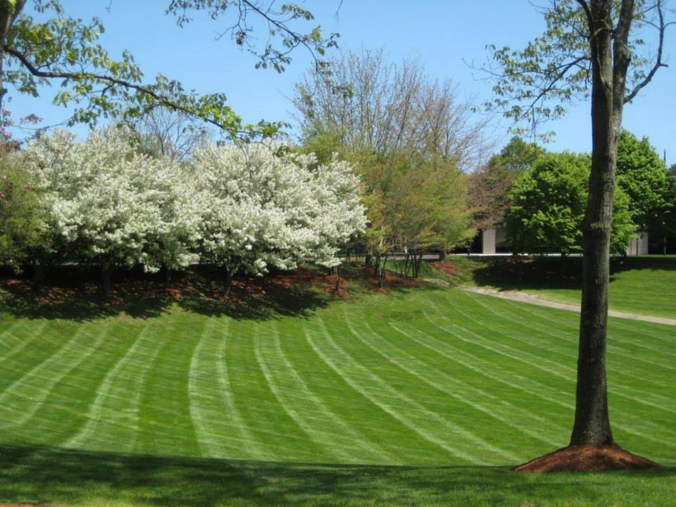 Eaton Horticultural Landscaping