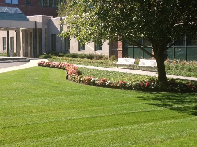 Eaton Horticultural Landscaping