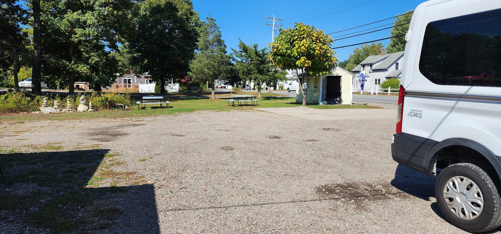 Mainly Dawgs Wareham