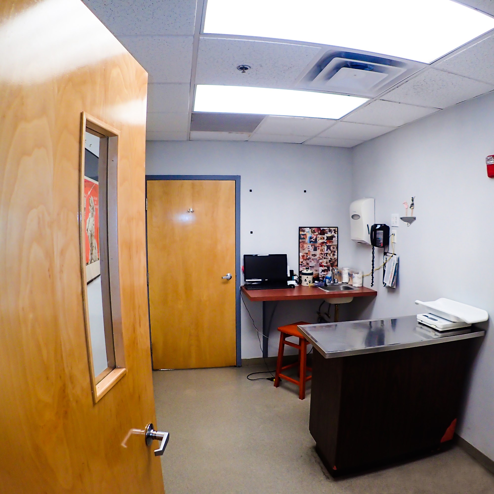 Massachusetts Animal Medical Center Watertown