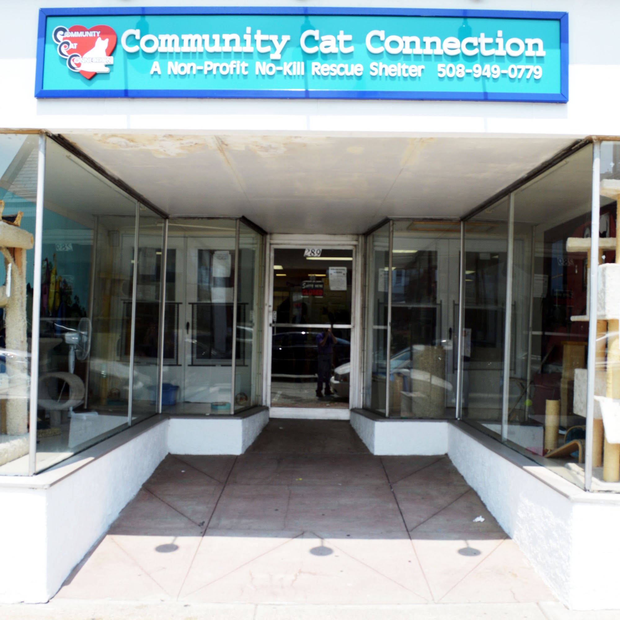 The Community Cat Connection Webster