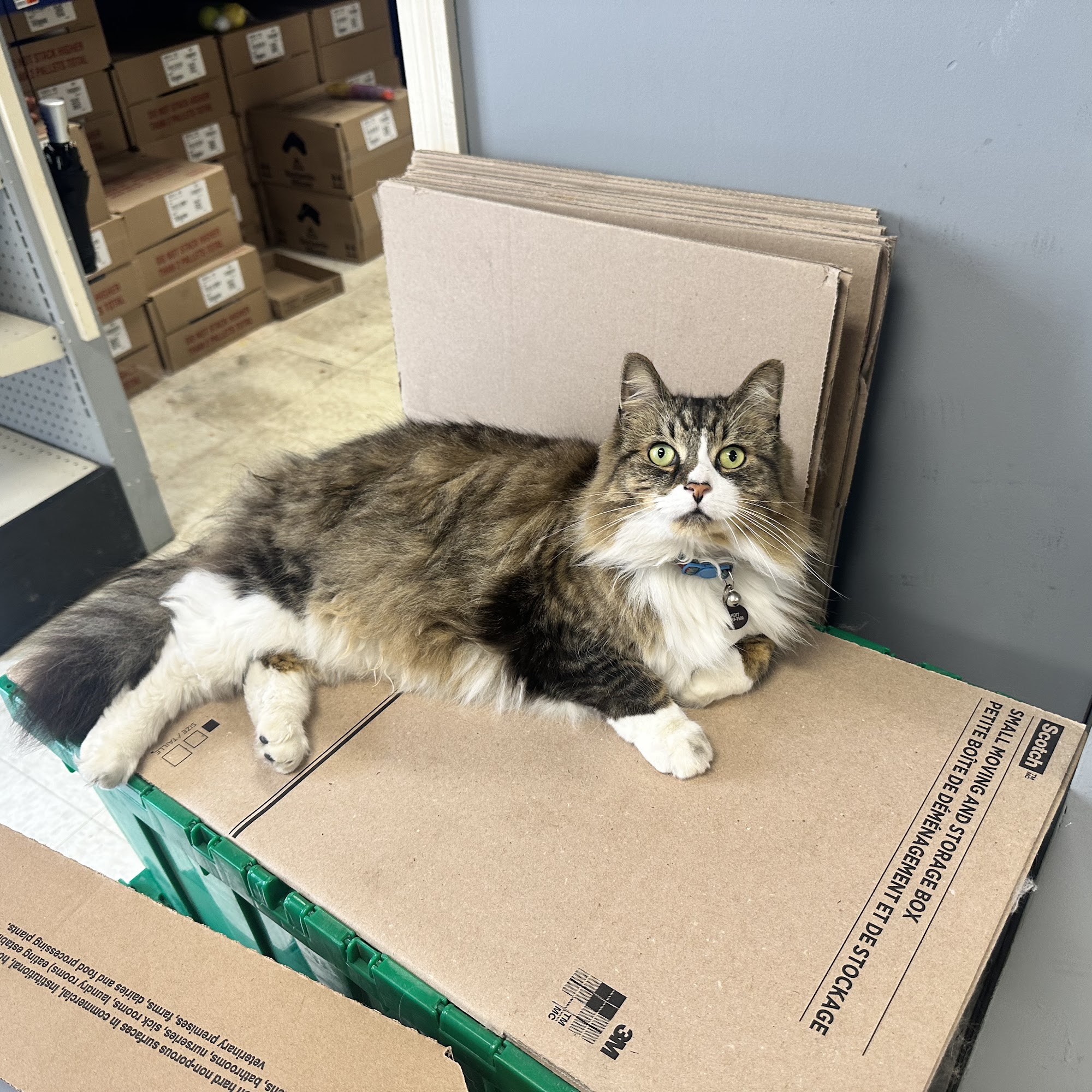 Aubuchon Hardware Webster