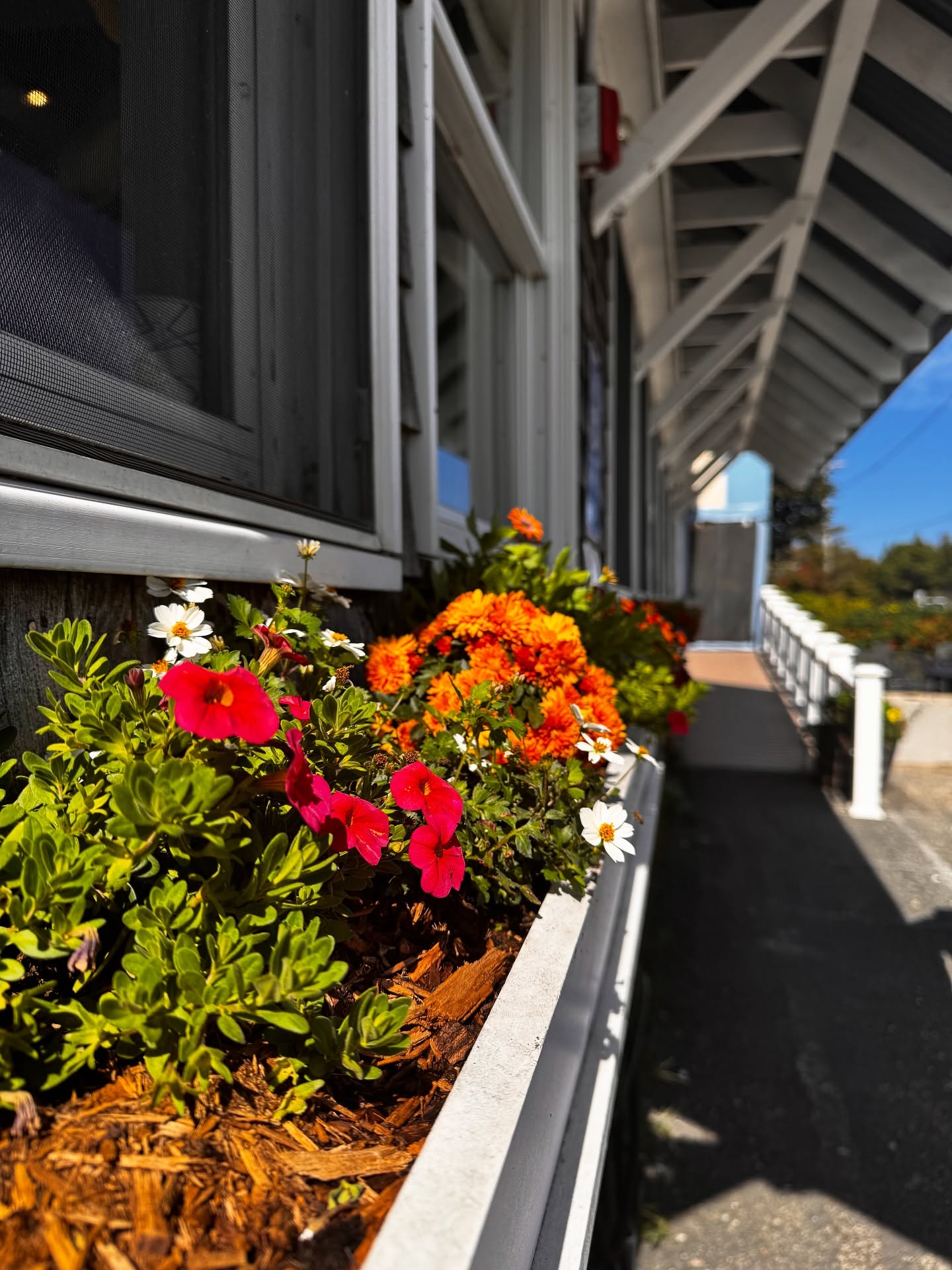 Pearl Restaurant & Bar Wellfleet