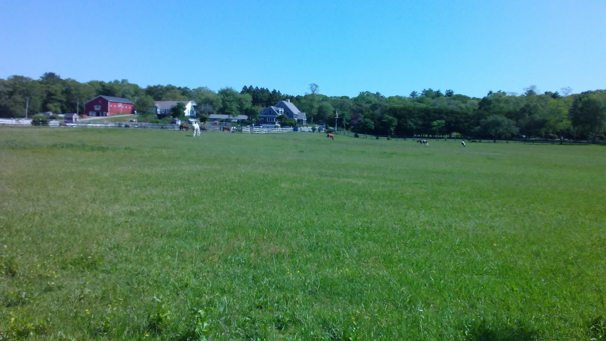 Cape Cod Animal Hospital West Barnstable