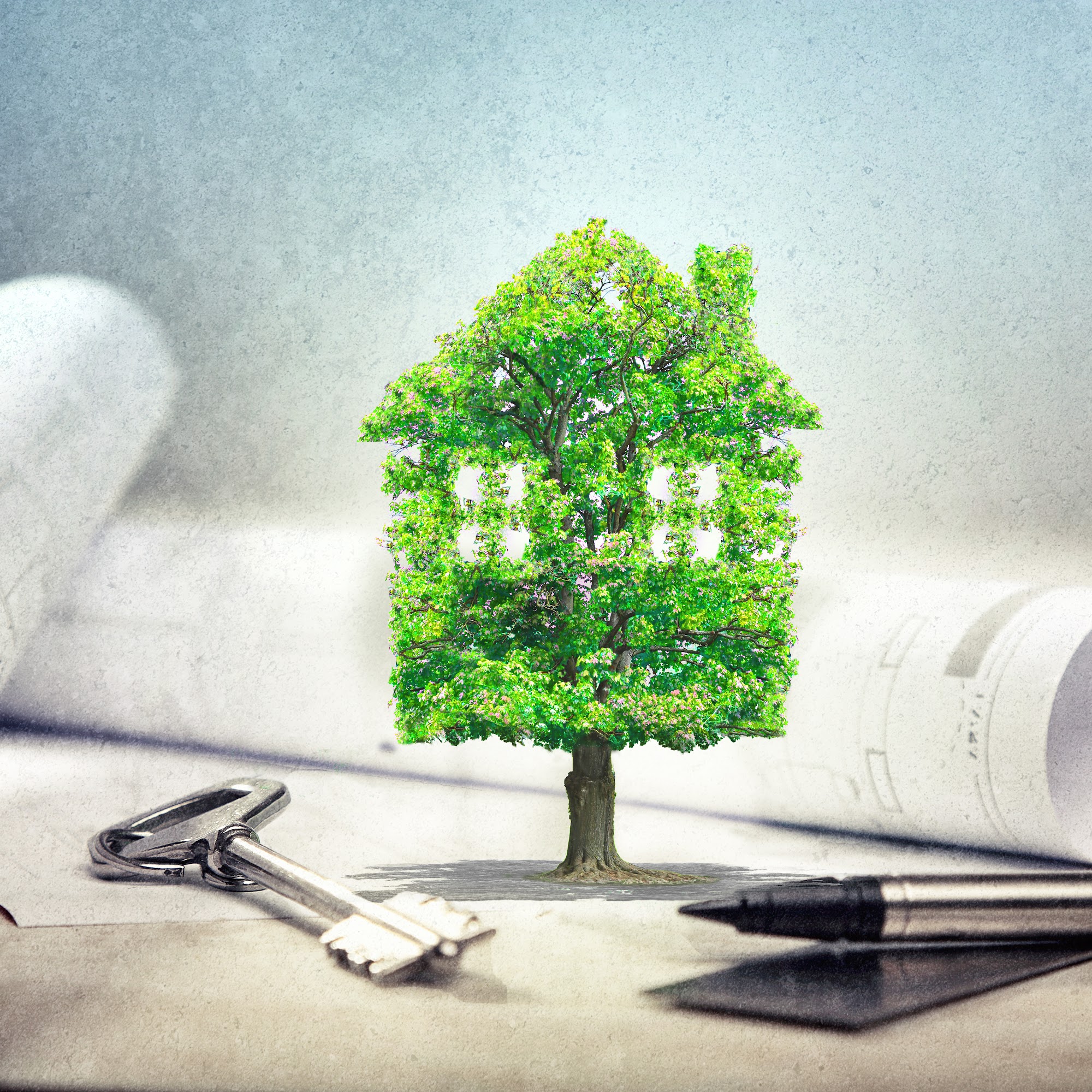 Beechtree Energy