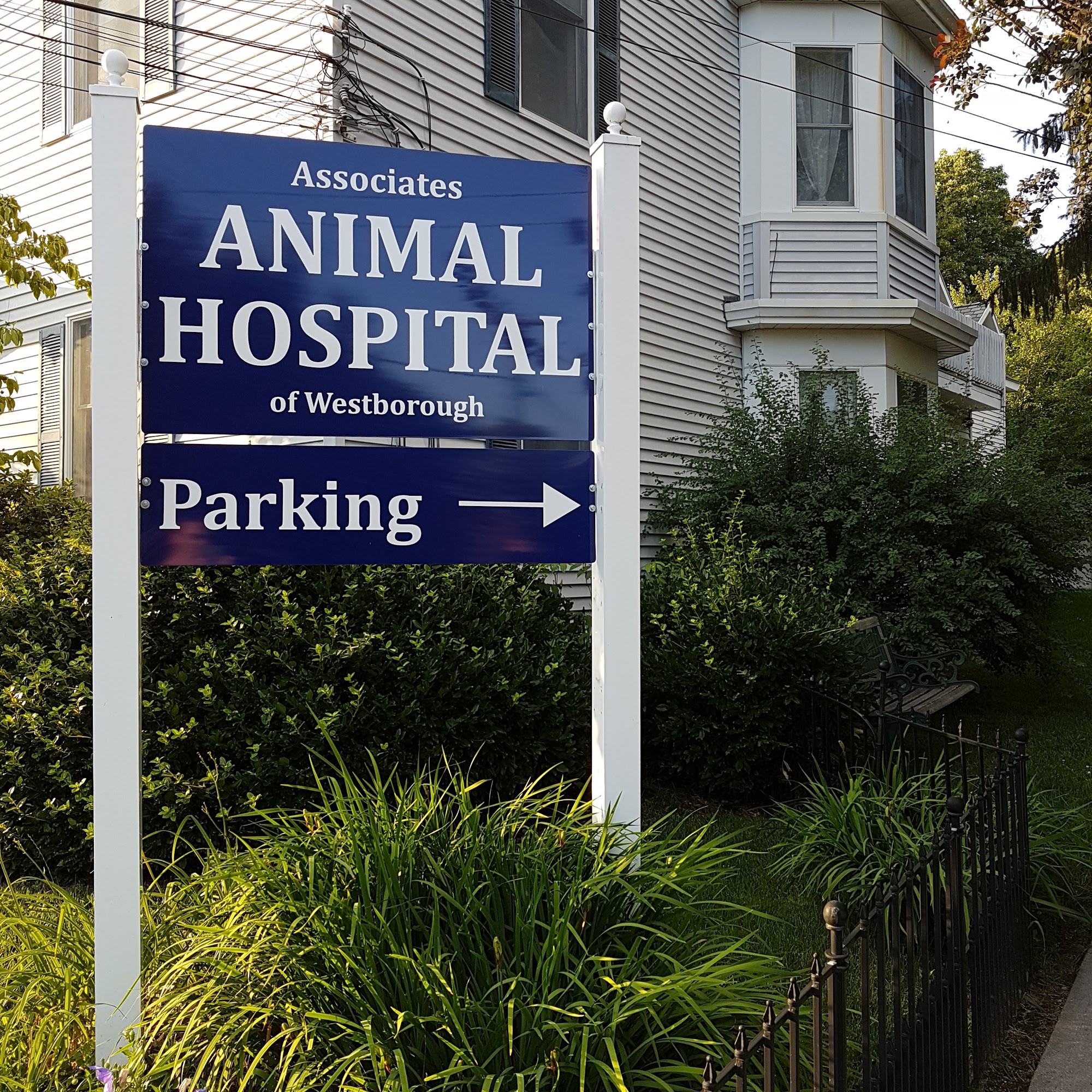Associates Animal Hospital Westborough