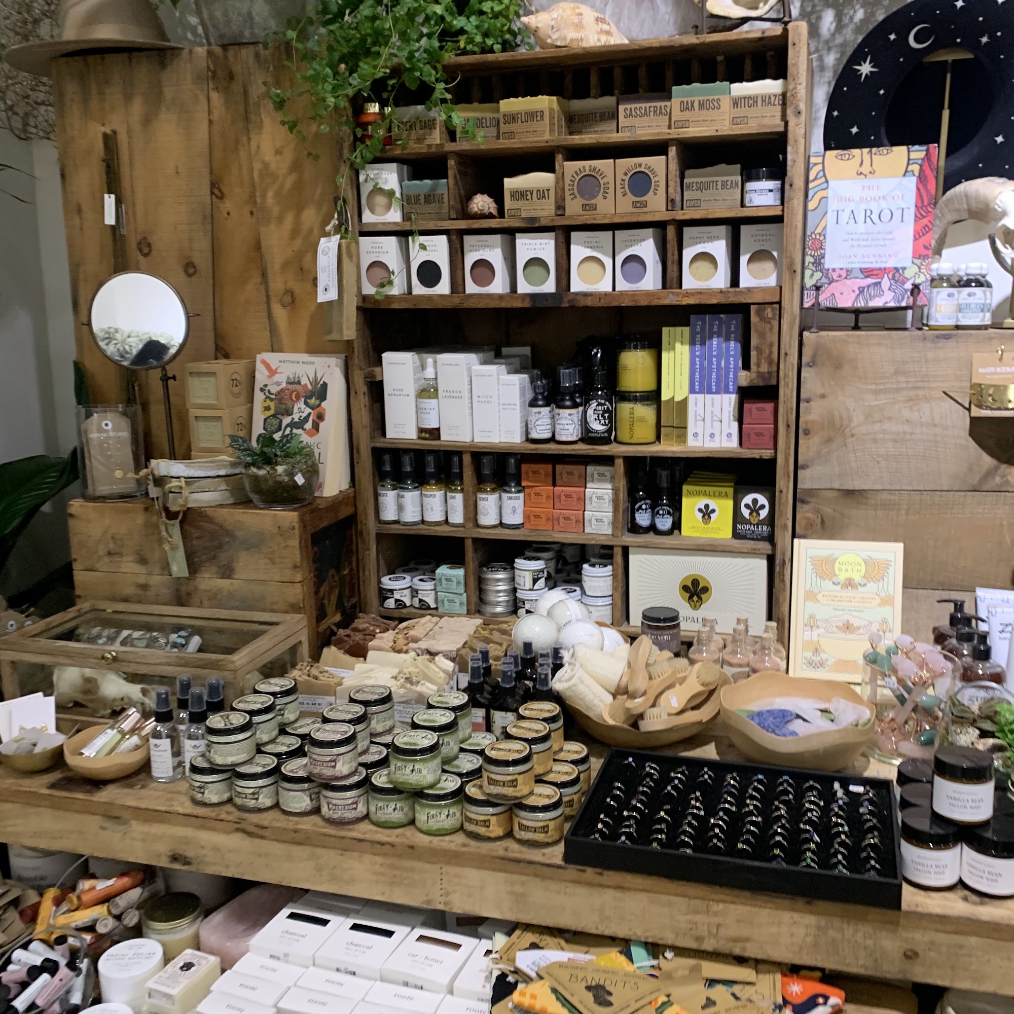 Seed To Stem Westborough