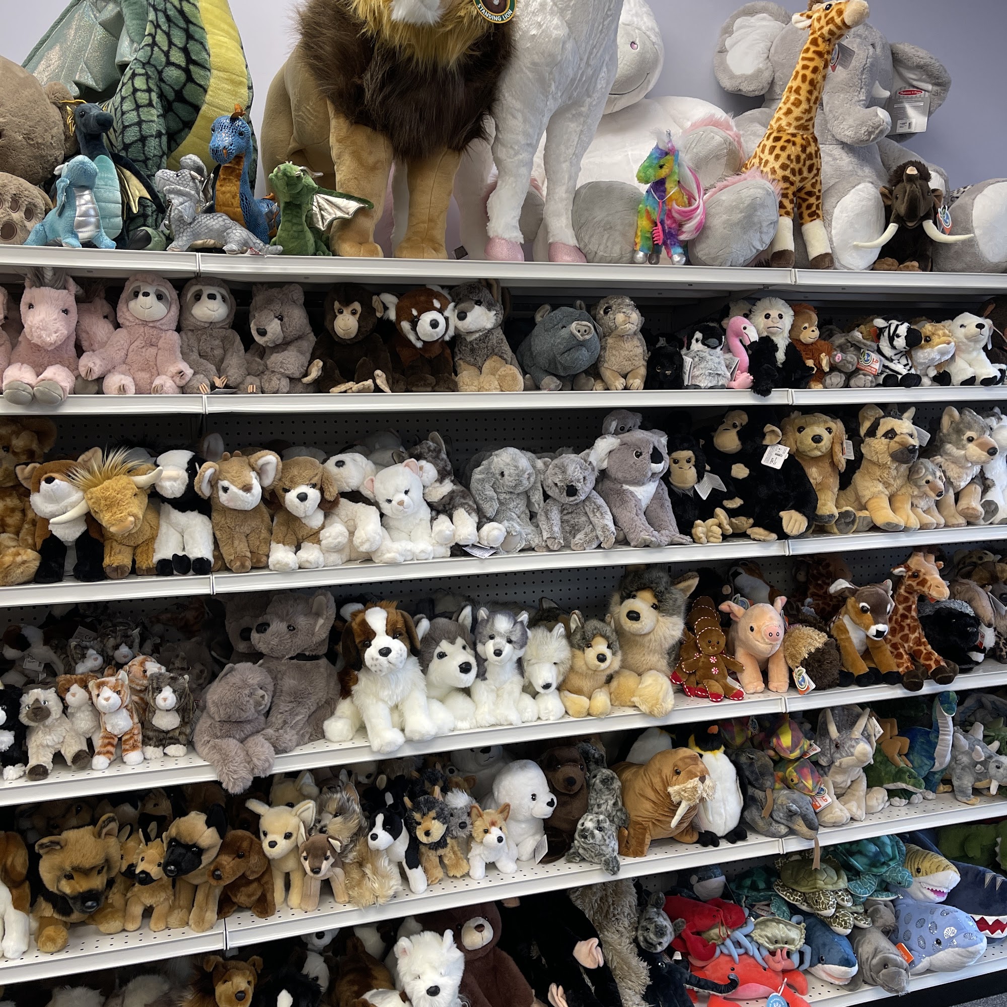 PLAYNOW! Westborough Westborough