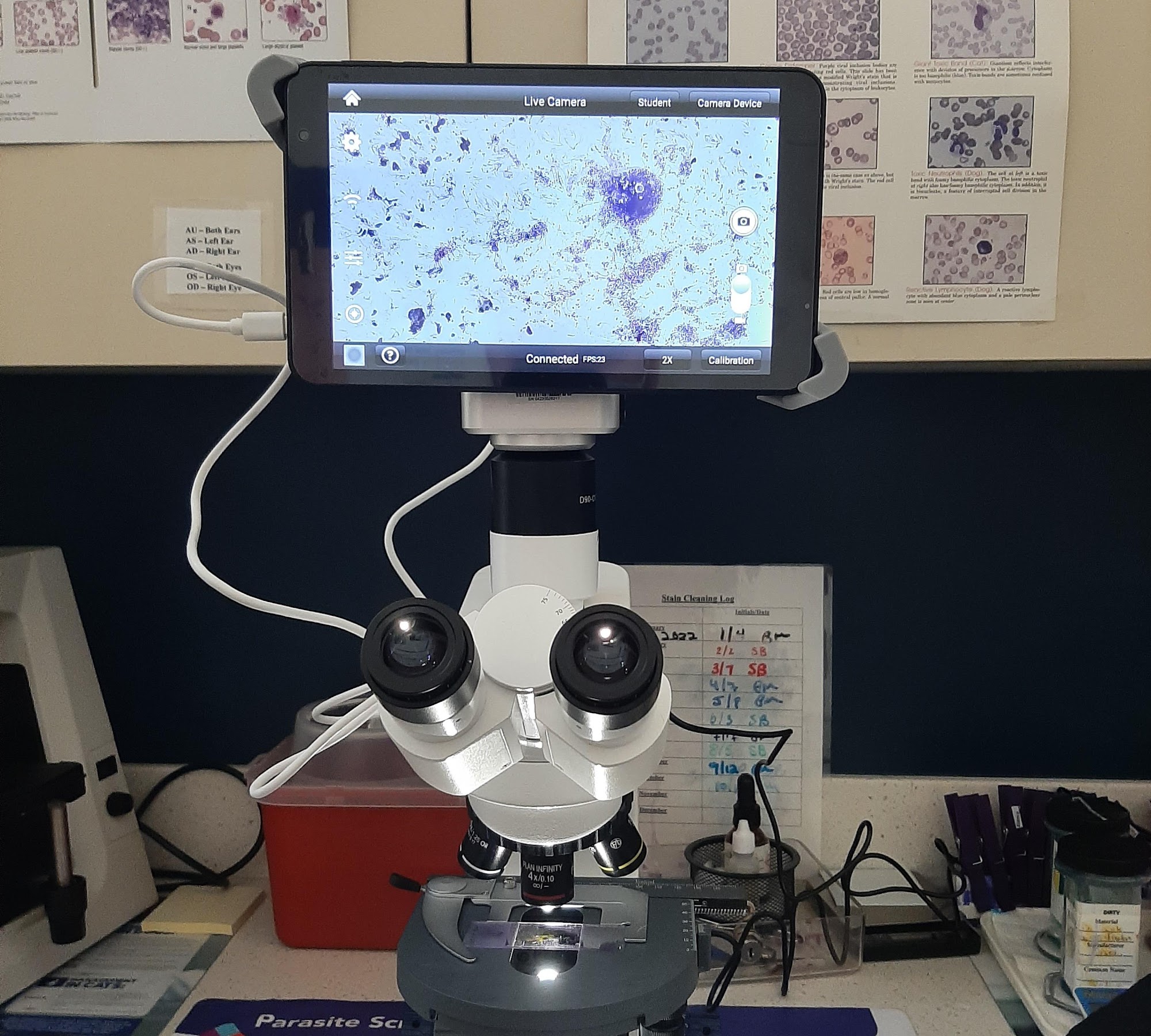 VCA Montgomery Road Animal Hospital Westfield