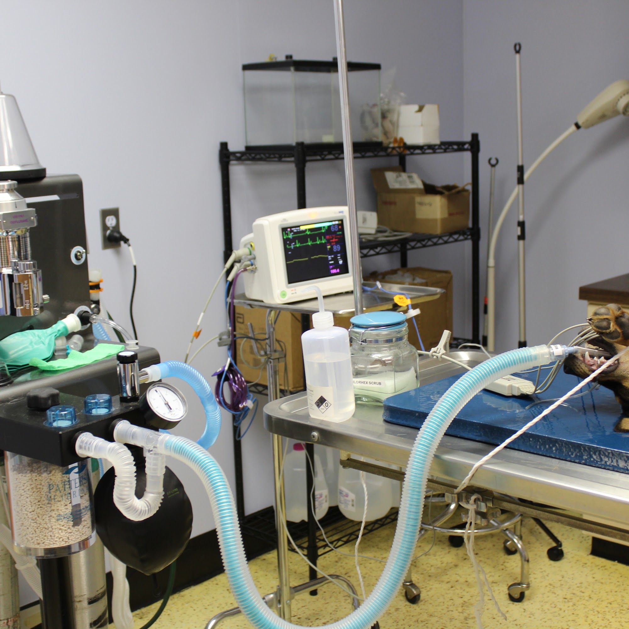 Westfield Animal Clinic Westfield