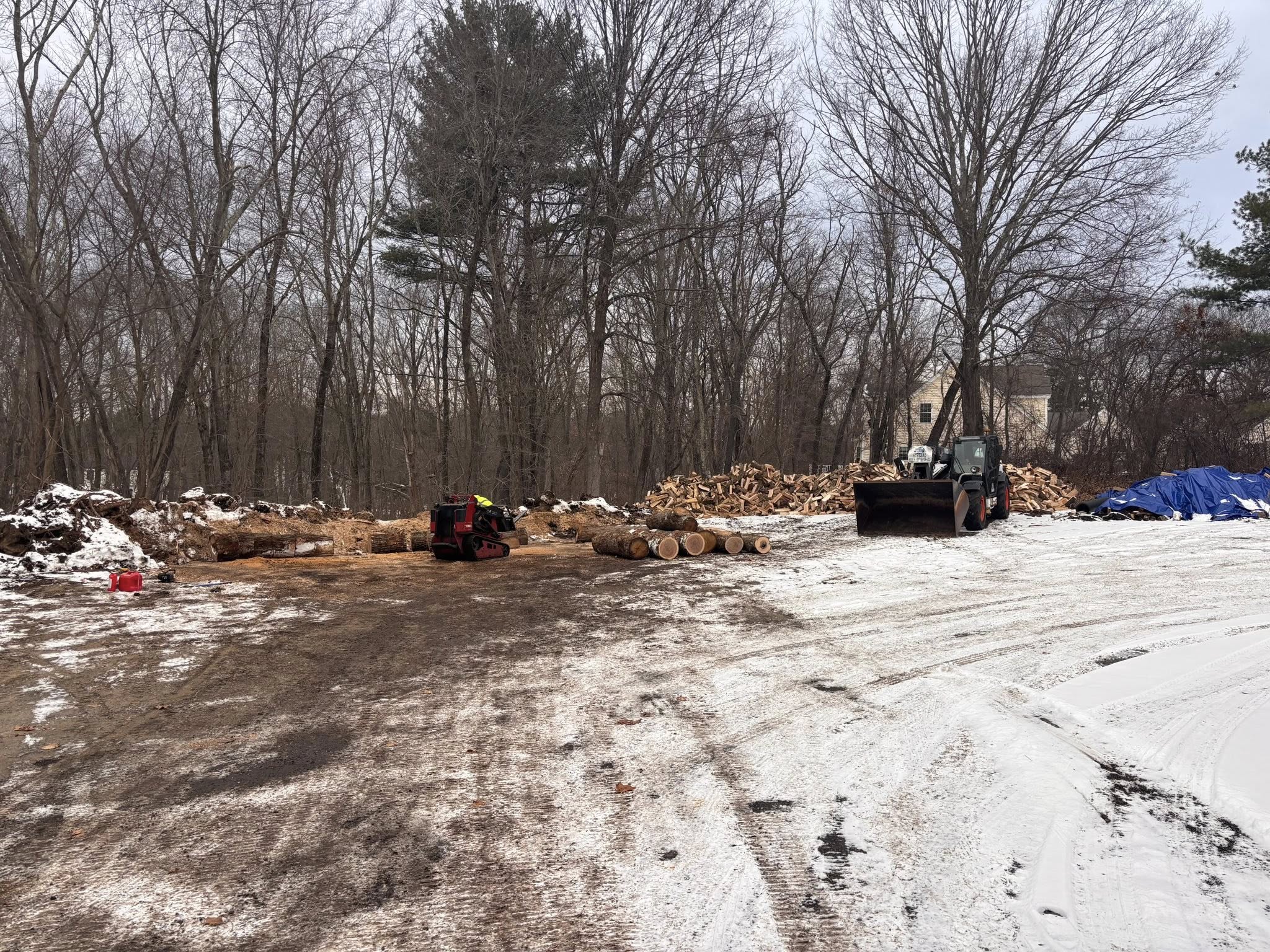 Prescott Tree Services