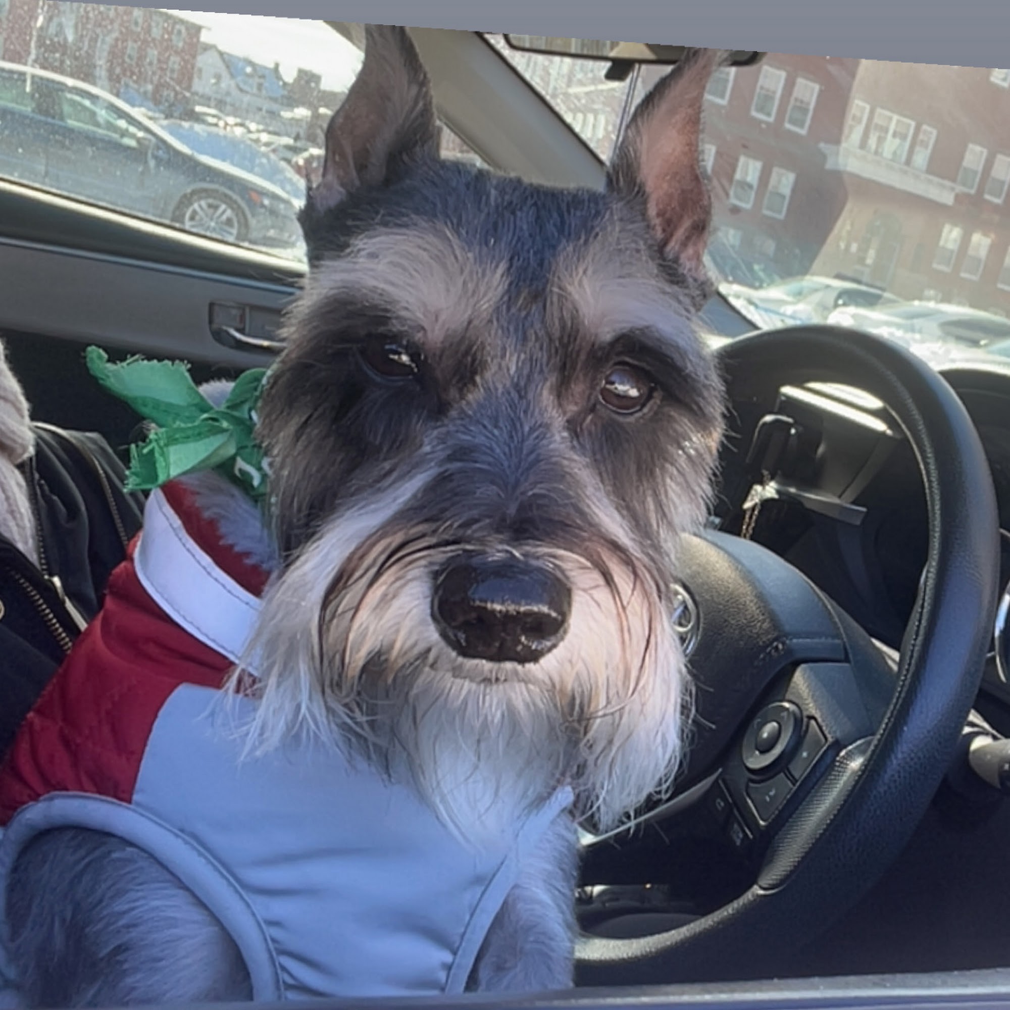 Acoaxet Veterinary Clinic Westport