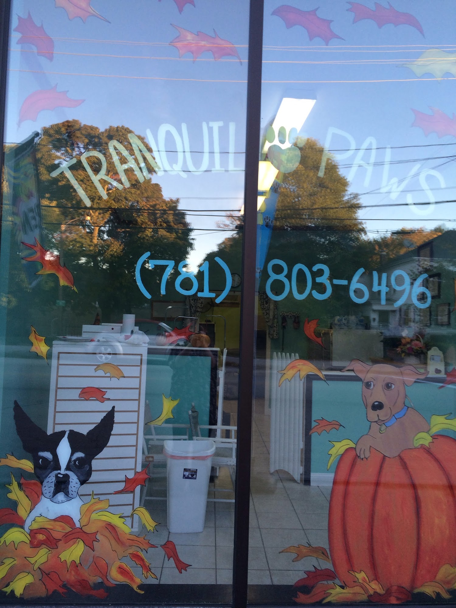 Tranquil Paws Weymouth