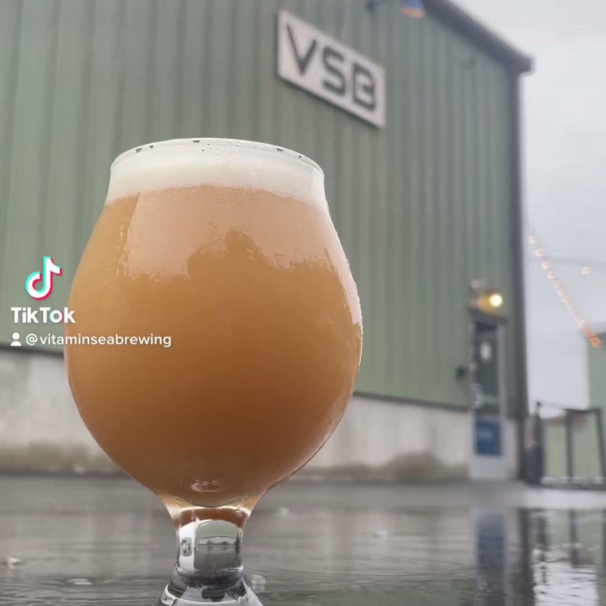 Vitamin Sea Brewing Weymouth