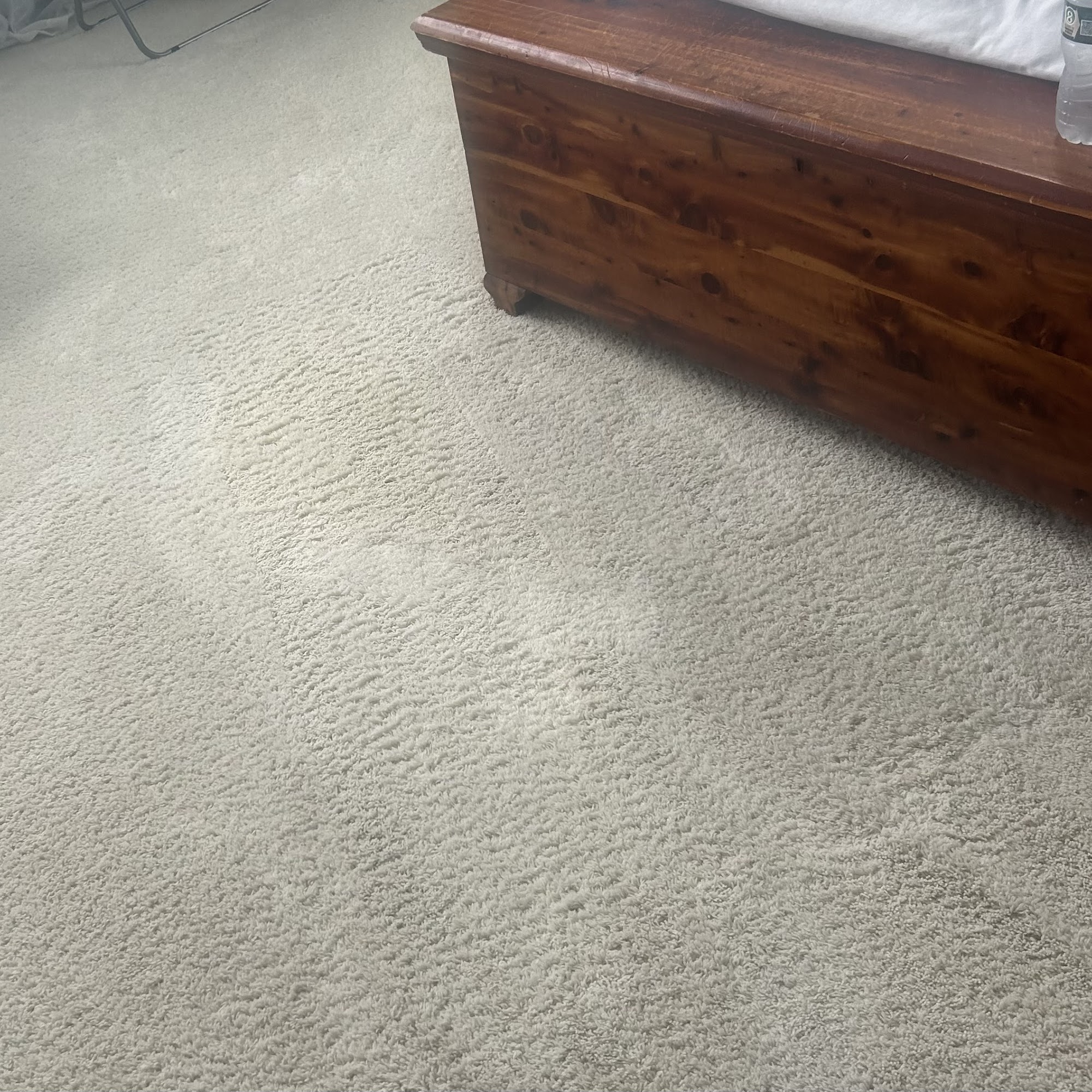 South Shore Carpet Cleaners