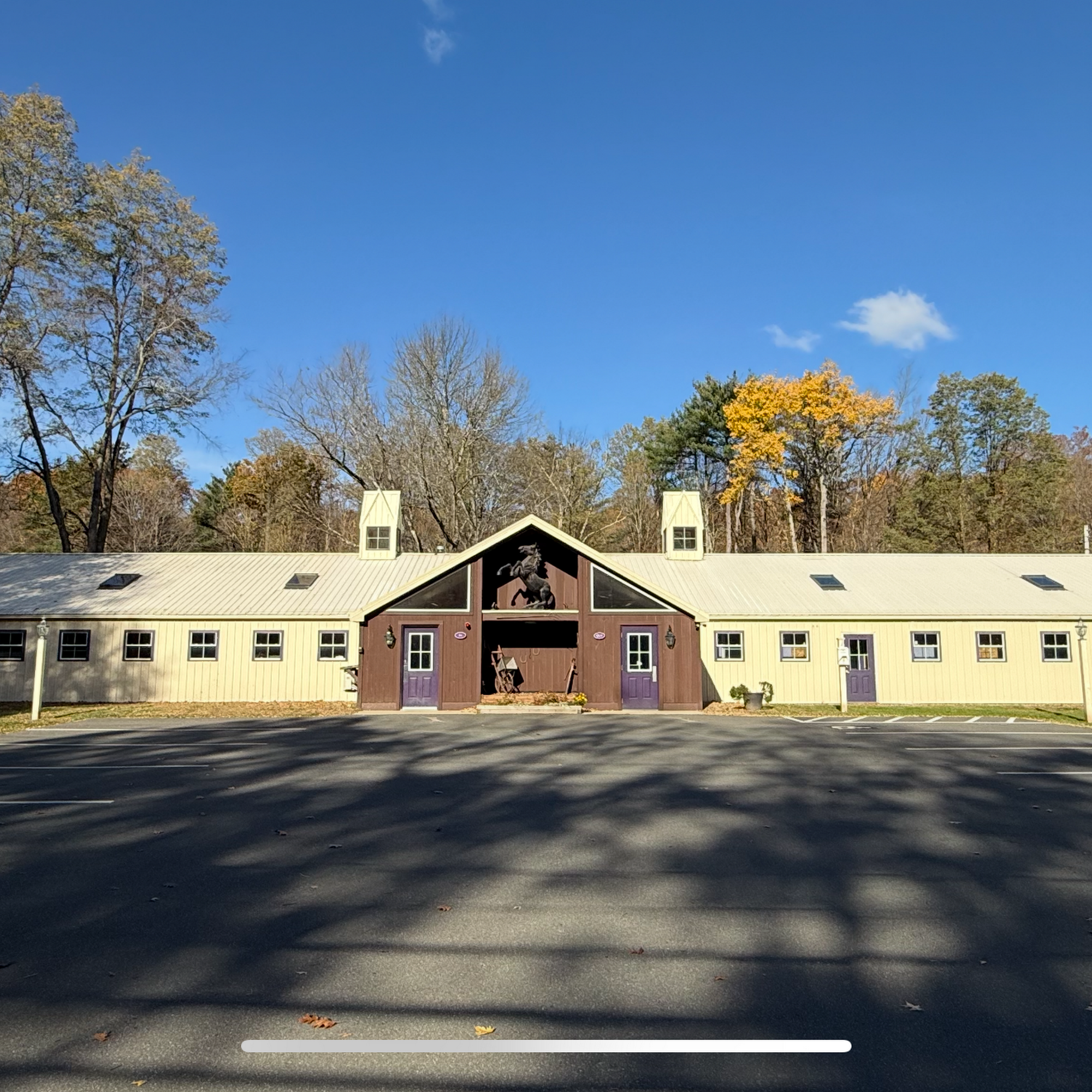 Williamsburg Animal Clinic Williamsburg