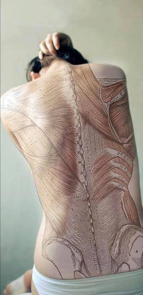Sandy Camper Acupuncture & Integrative Medicine
