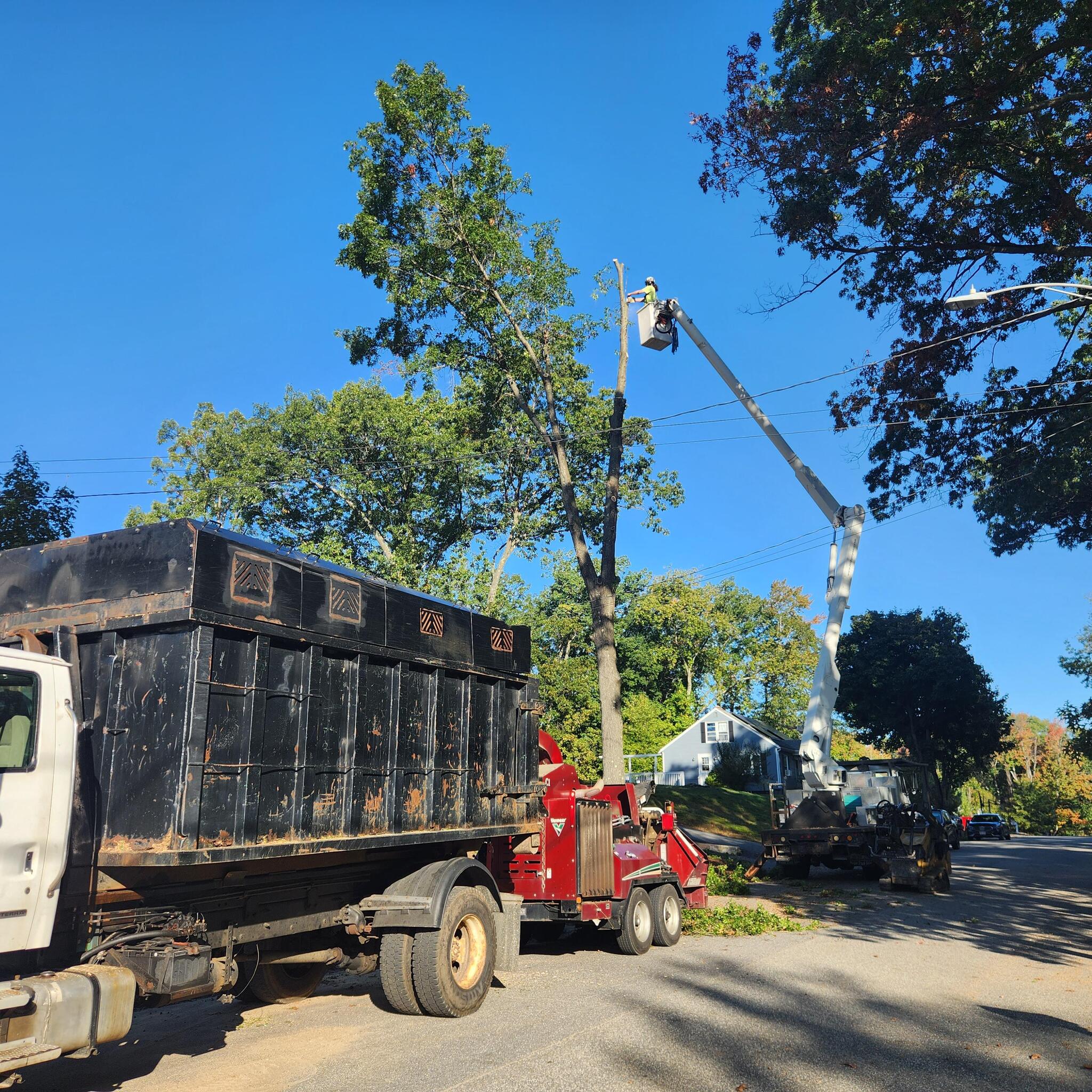 Photo credit: nextdoor