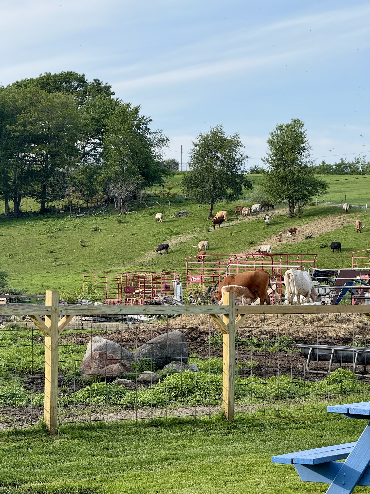 Murdock Dairy Farm Menu