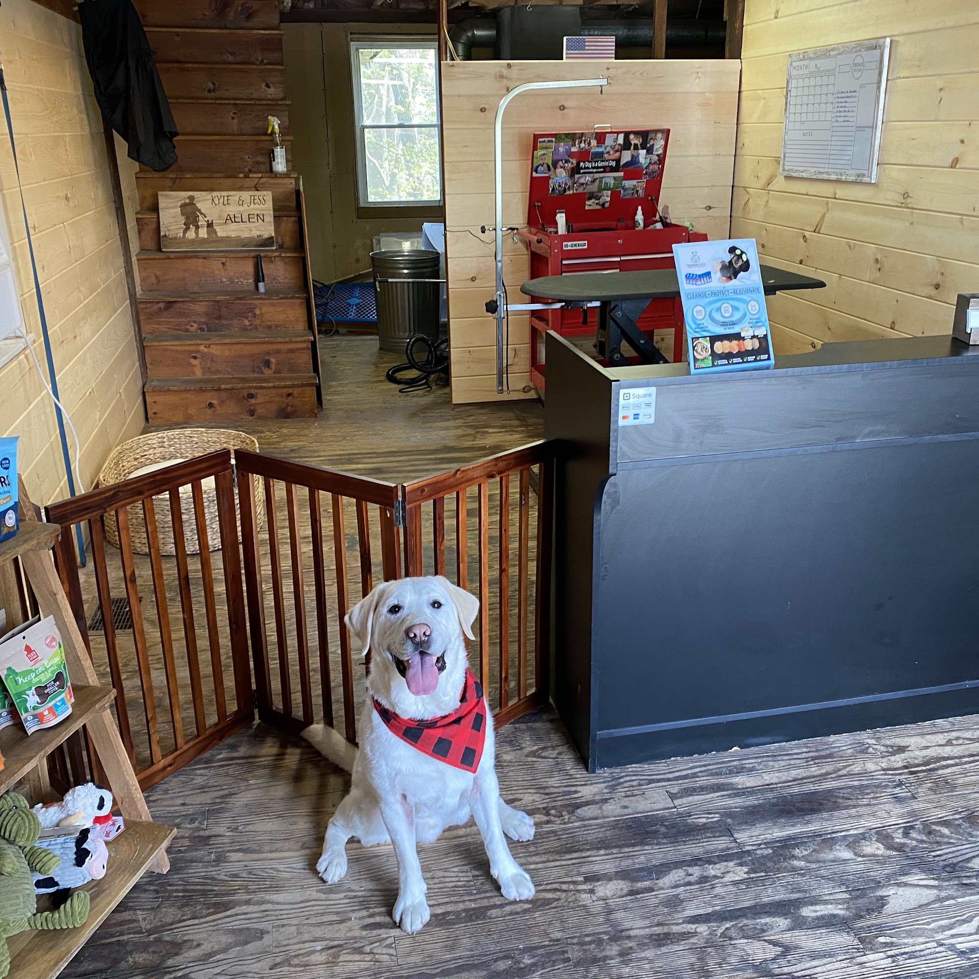 The Peachy Dog Salon LLC Winchendon