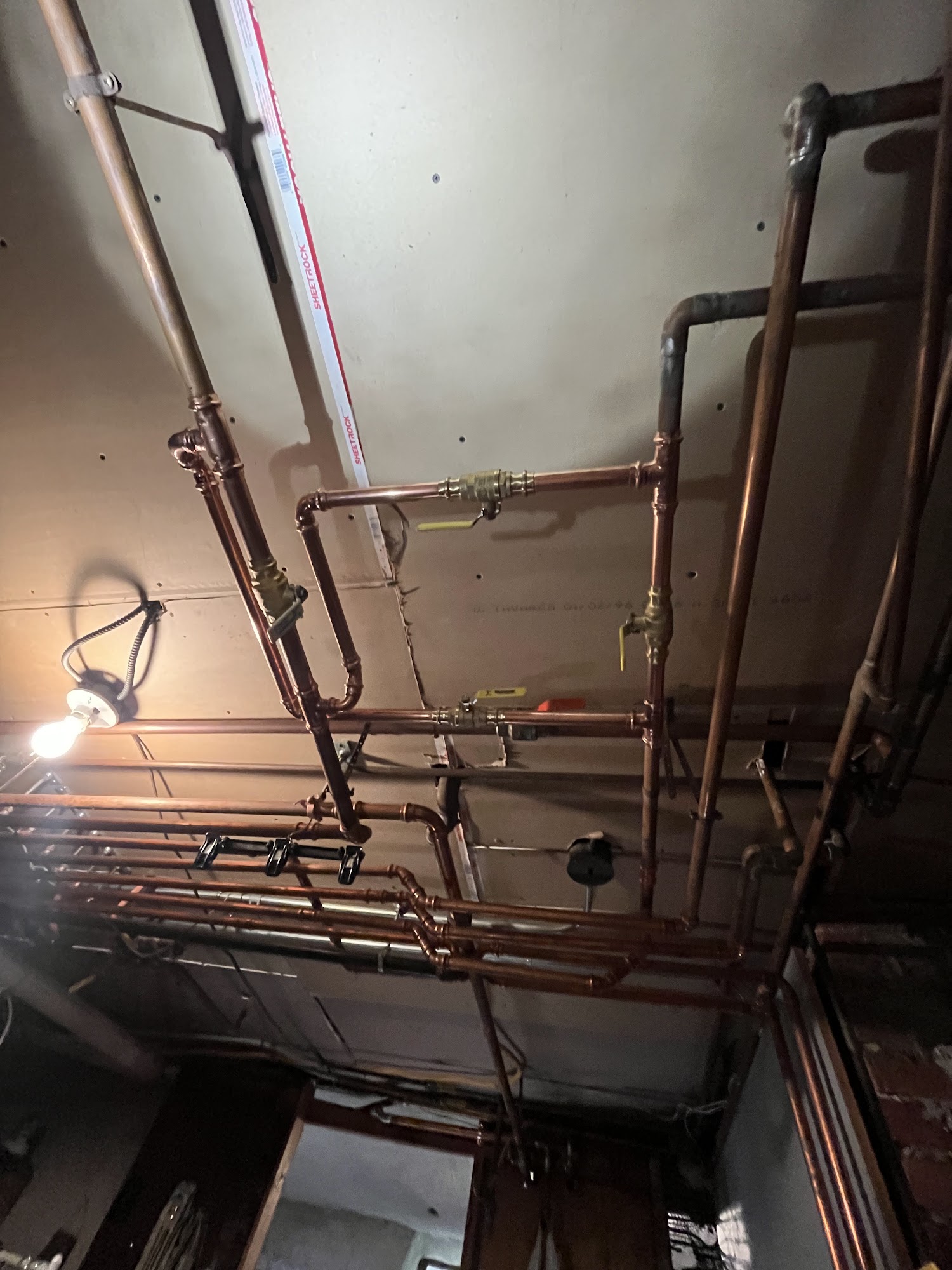 Doughty & Sons, Inc.