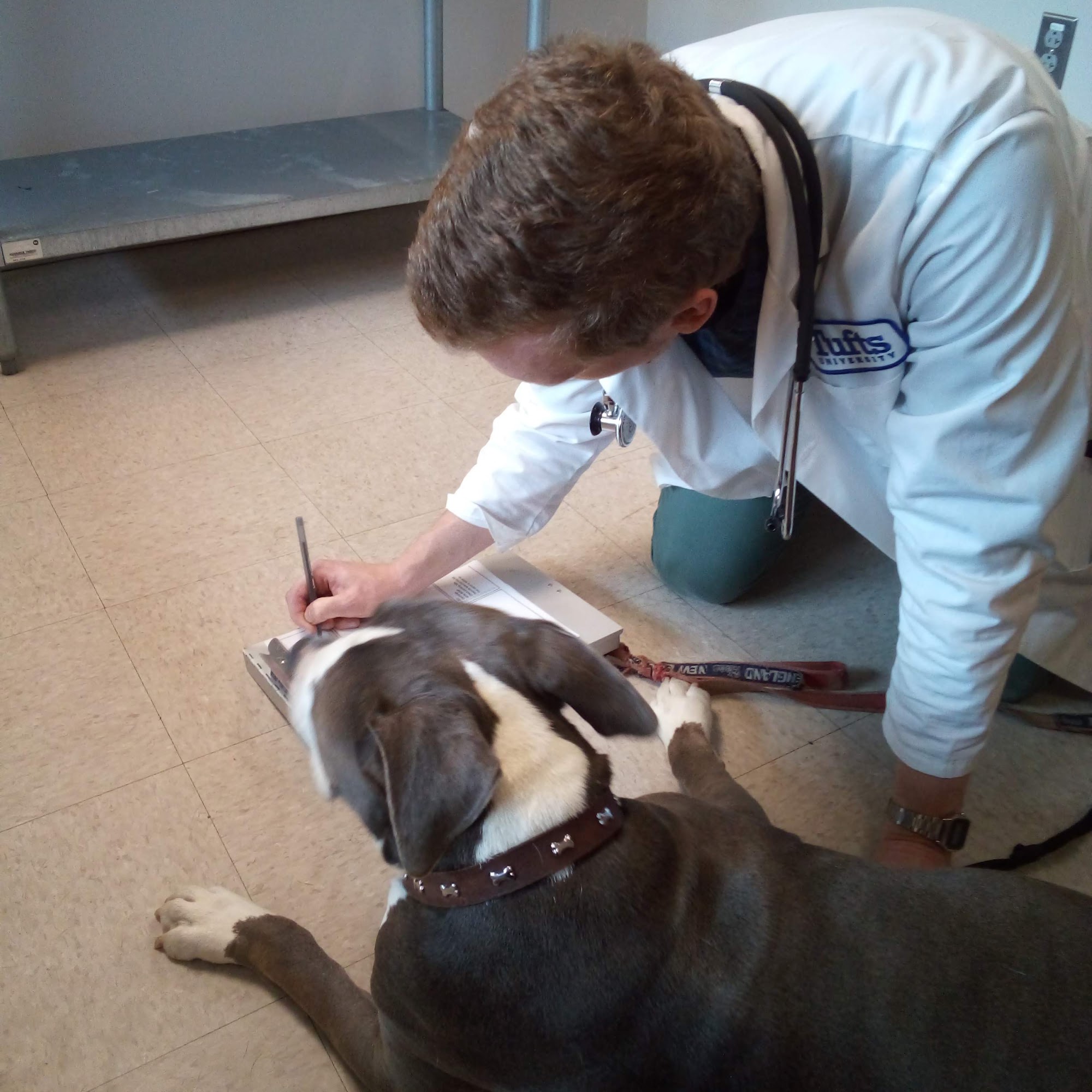 Tufts at Tech Community Veterinary Clinic Worcester