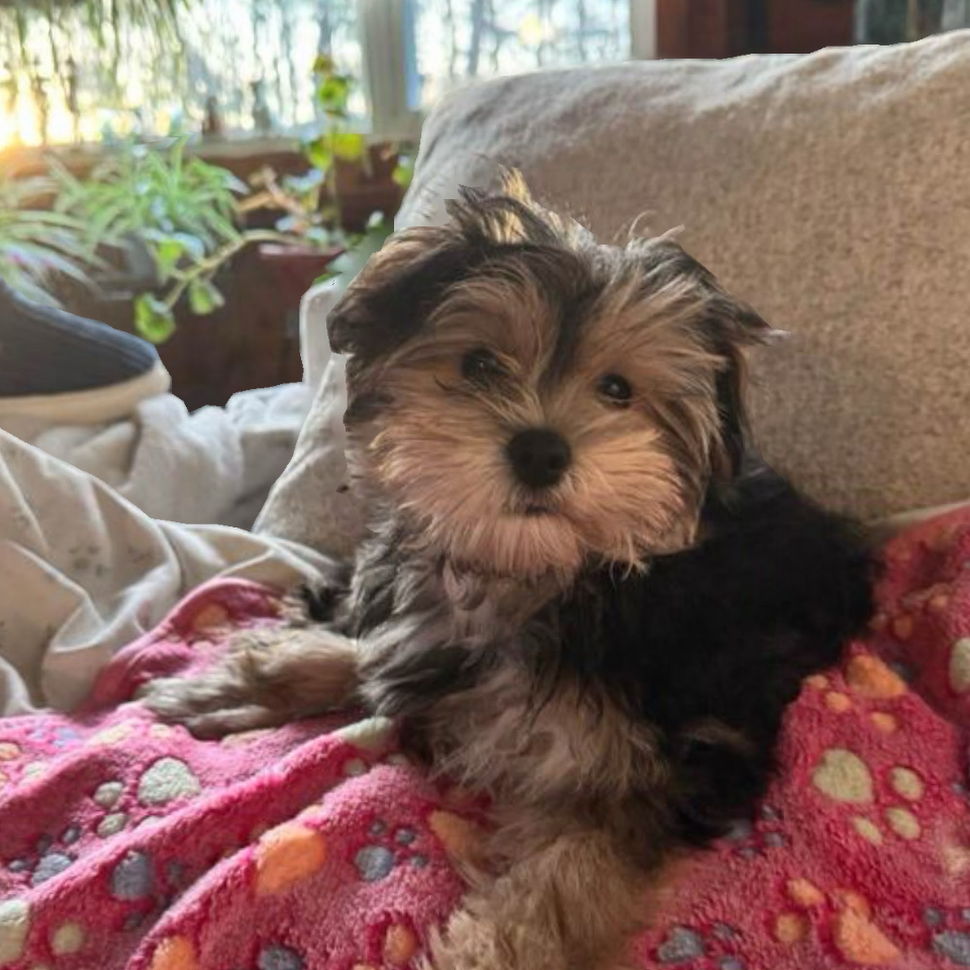 Route 20 Animal Clinic Worcester