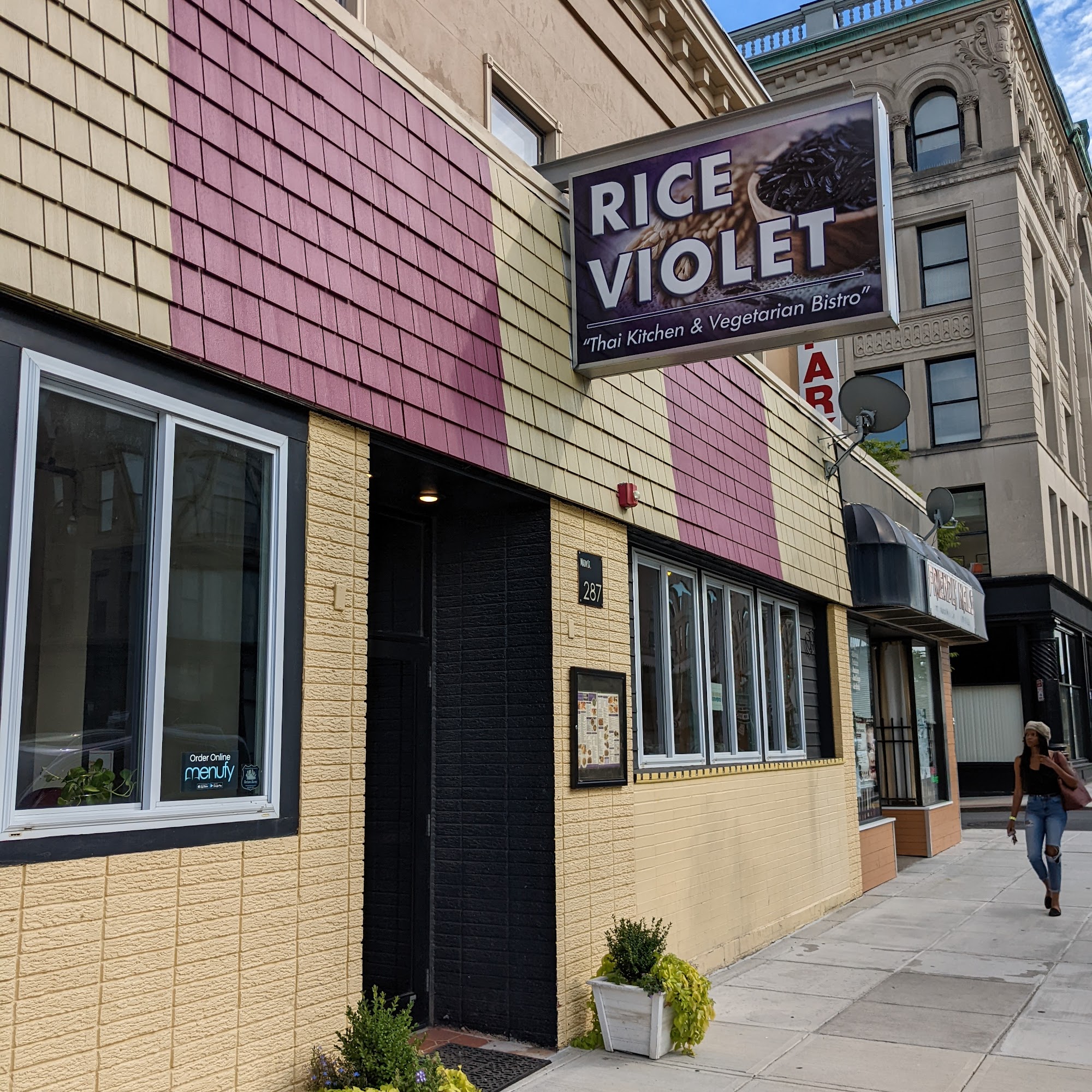 Rice Violet Worcester