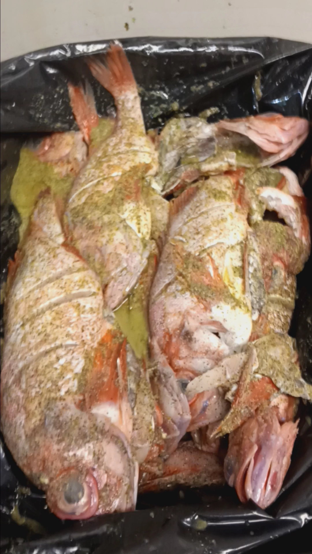 El Tipico Frictufinas Menu