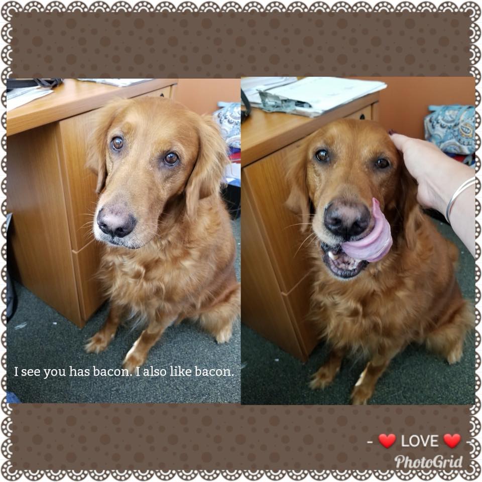 Law Office of Barbara S. Liftman