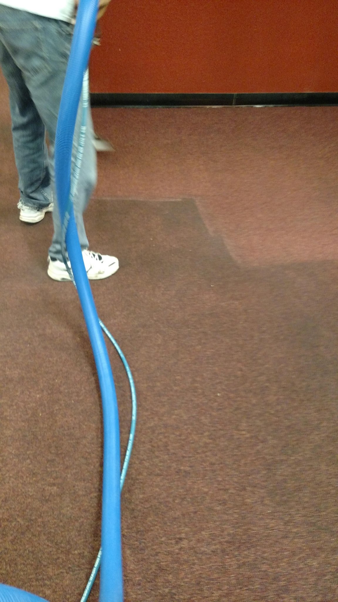 Rapid Carpet Cleaning