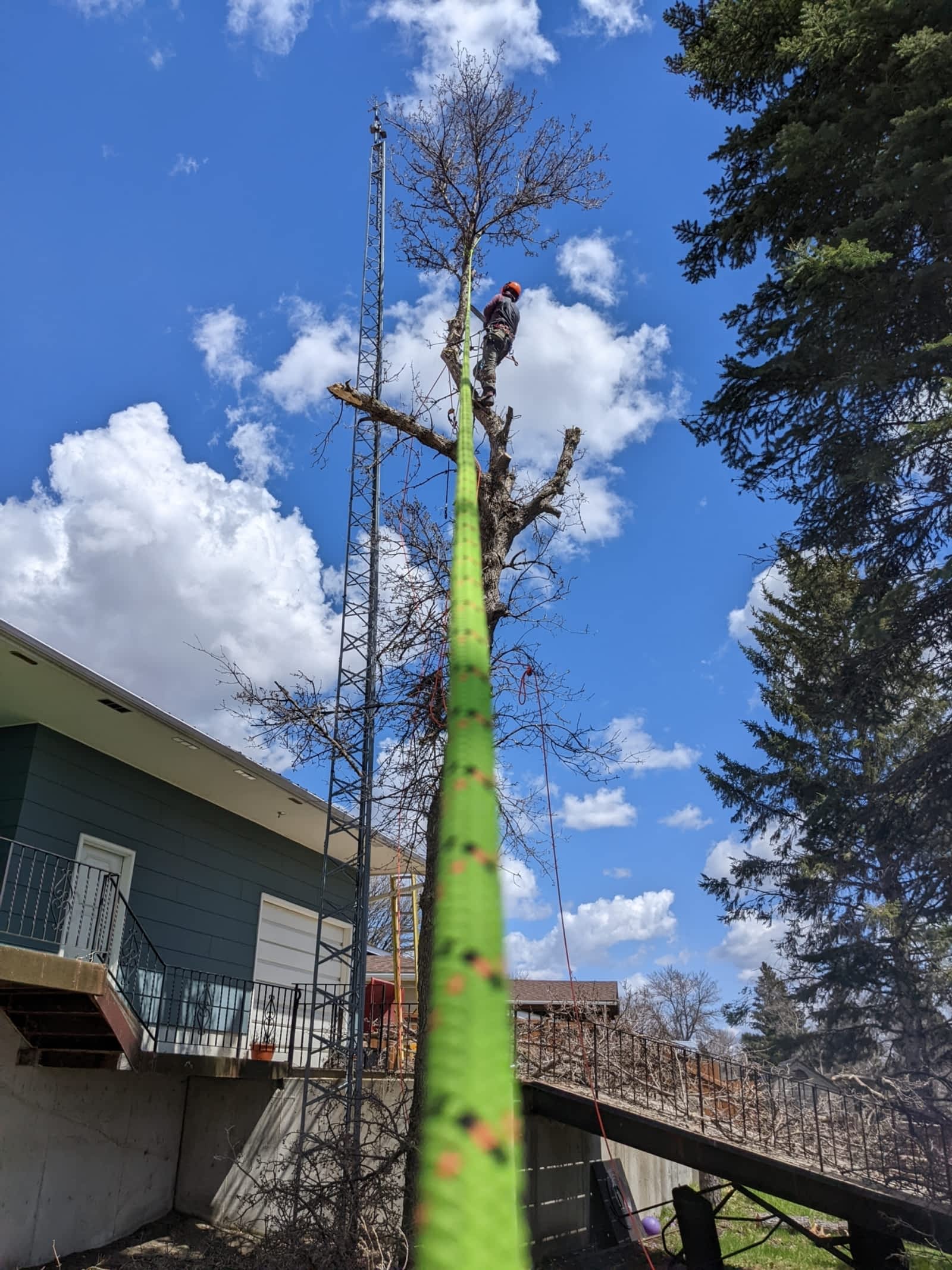 Photo credit: yellowpages.ca