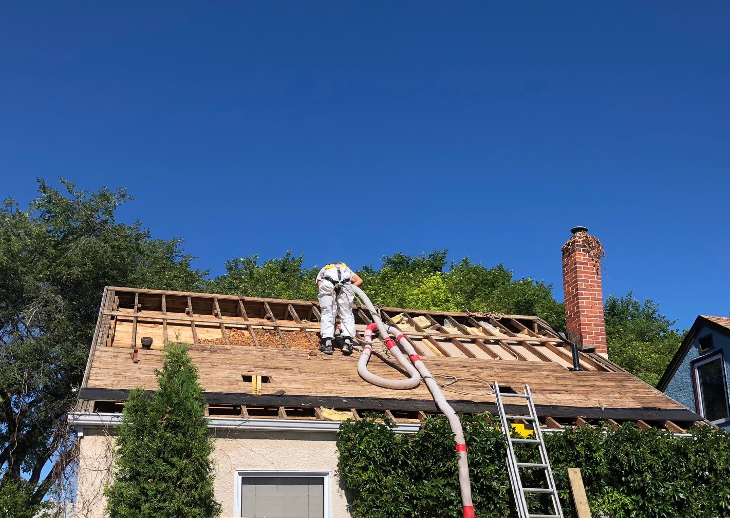 Warm Home Insulation Ltd Dugald