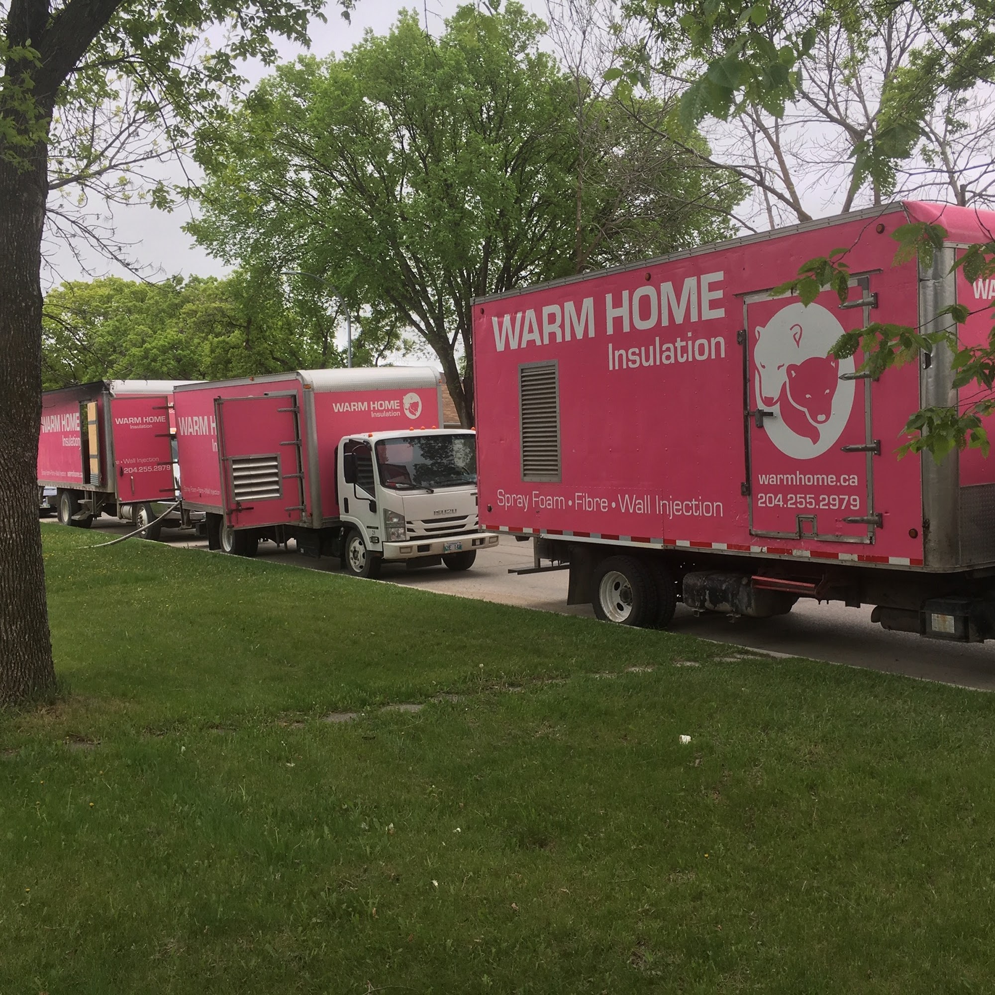 Warm Home Insulation Ltd Dugald