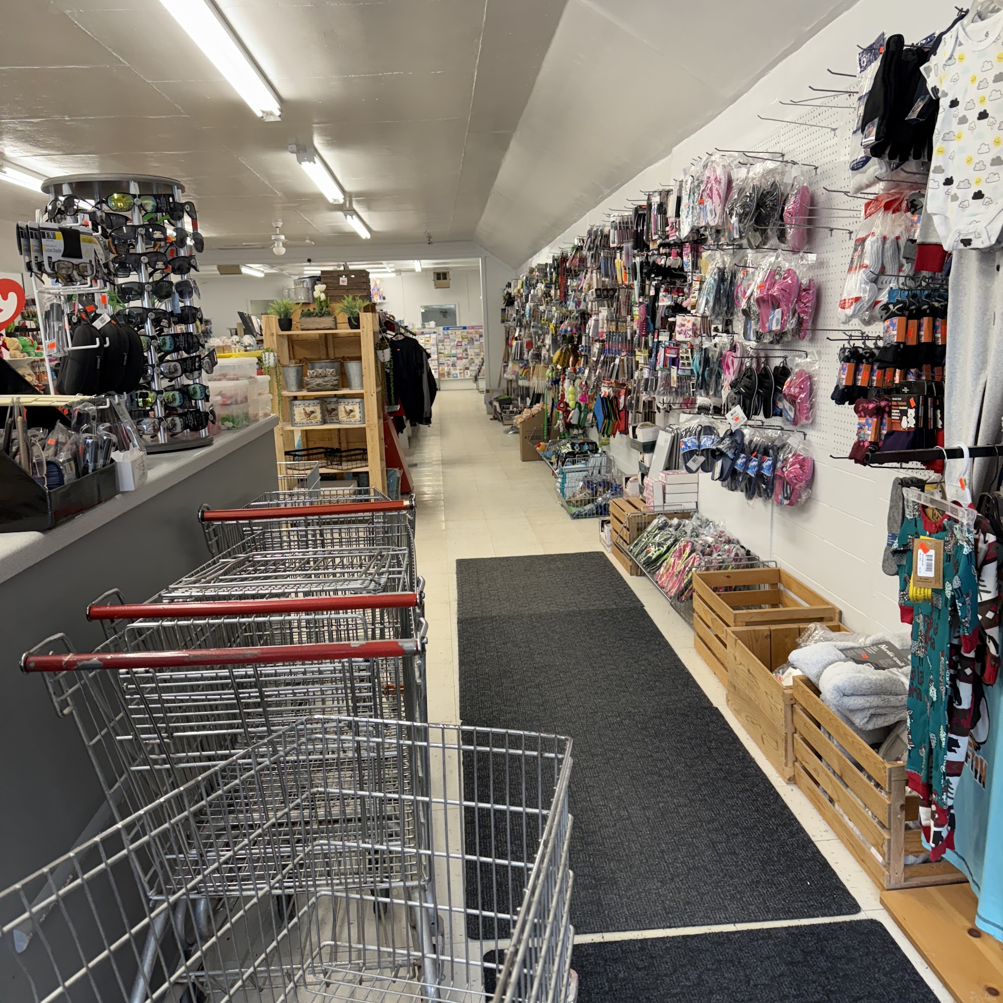 The Loonie Bin Lundar