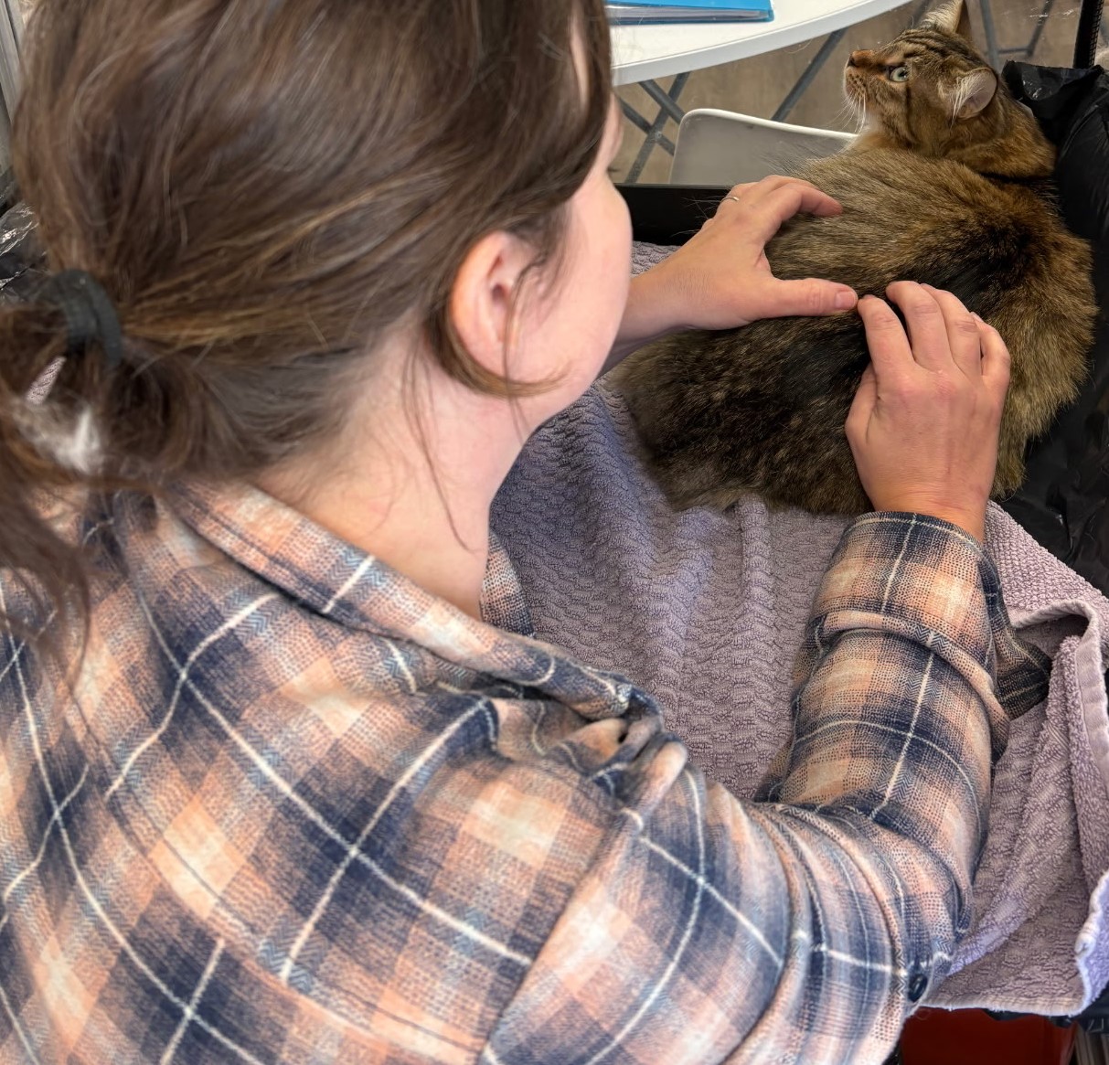 Shag To Chic Steinbach