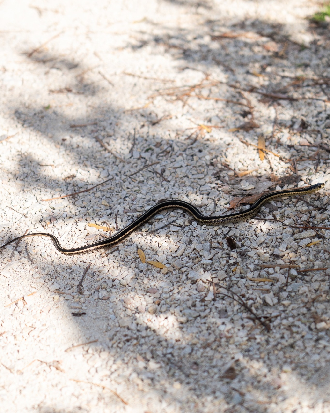 One Great City Brewing Company Winnipeg