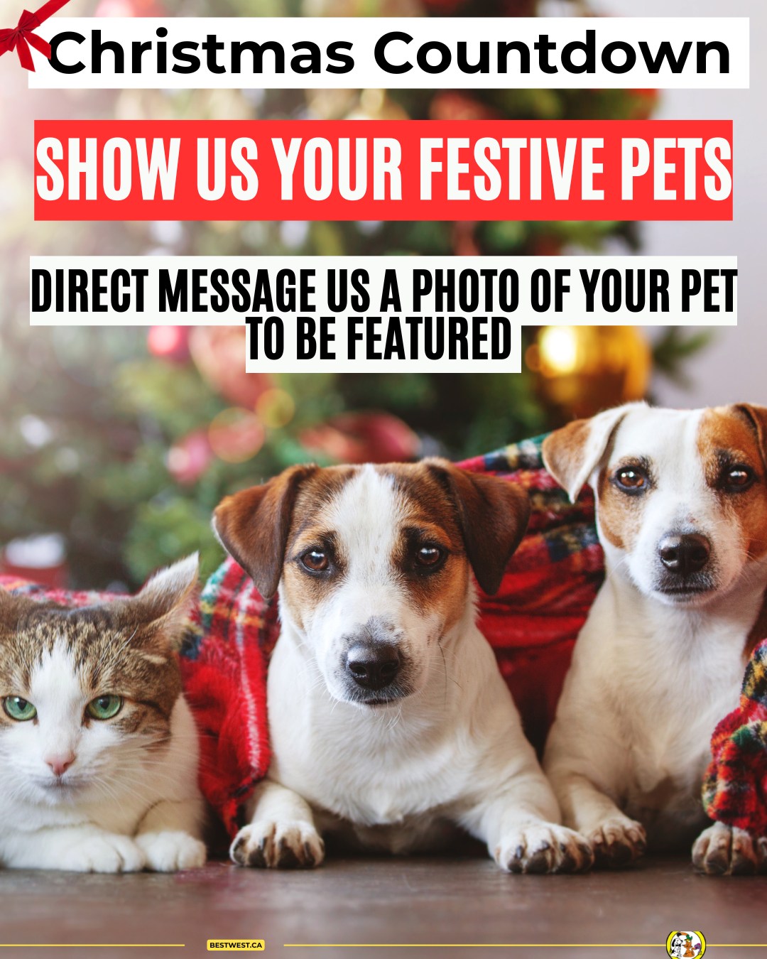 Best West Pet Foods Inc Winnipeg