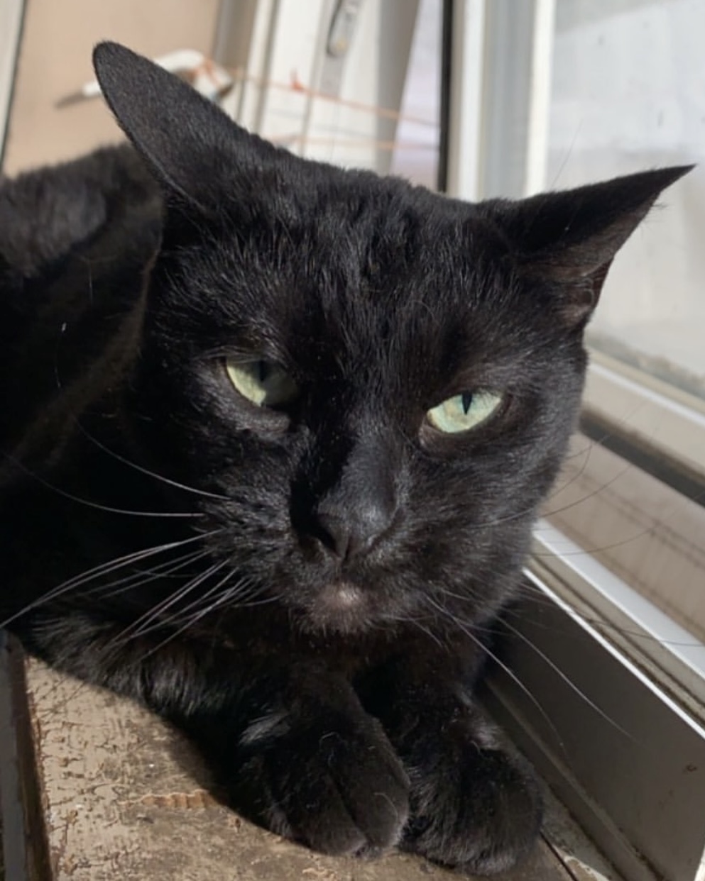 St. Vital Veterinary Hospital Winnipeg