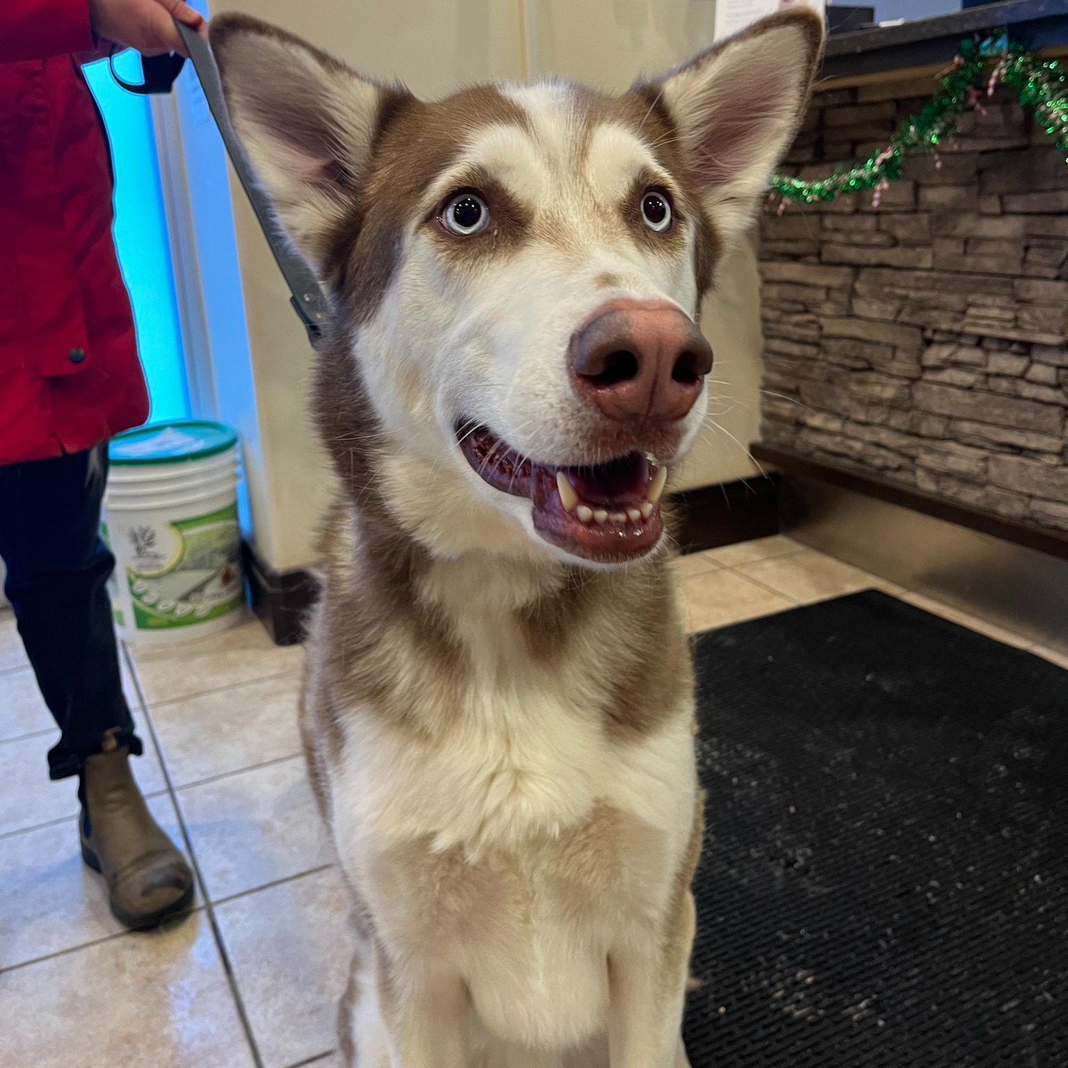 Fort Garry Veterinary Hospital Winnipeg