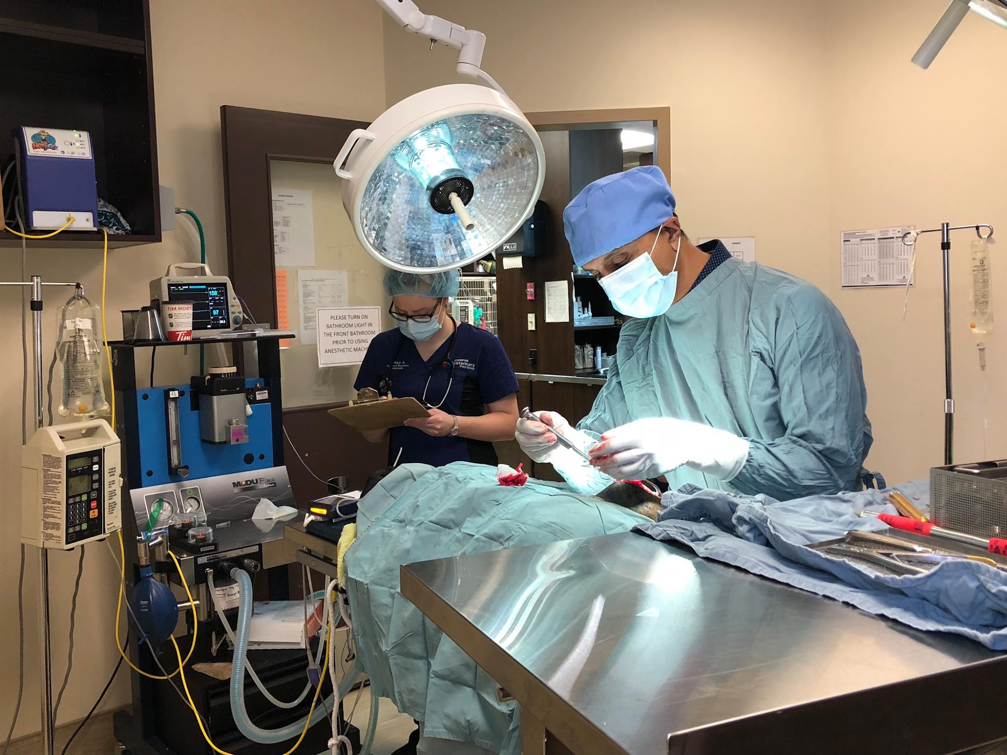 Fort Garry Veterinary Hospital Winnipeg