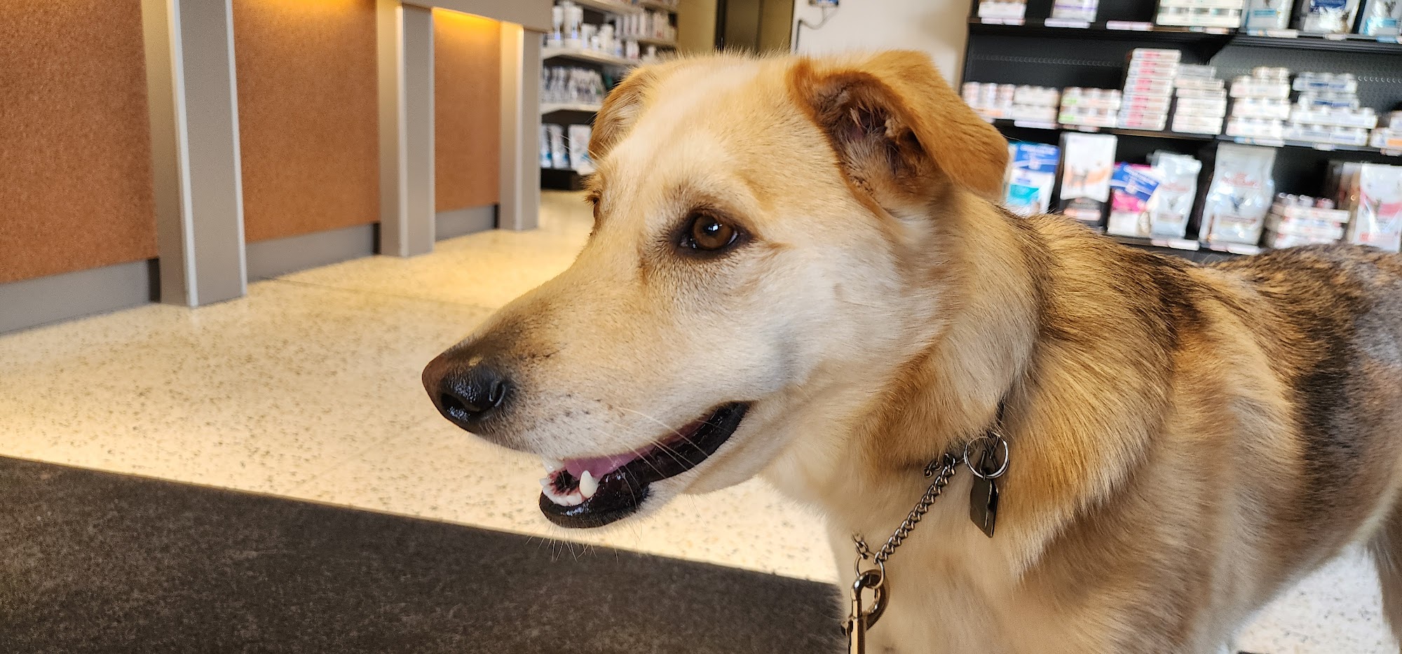 Birchwood Animal Hospital Winnipeg