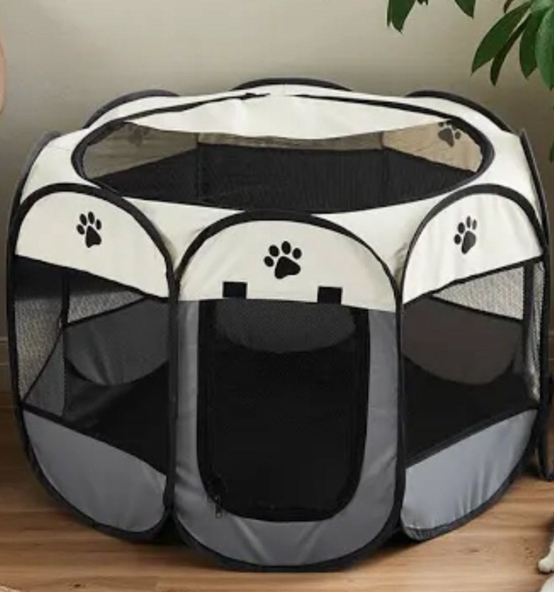 Classy Clips Inc Winnipeg