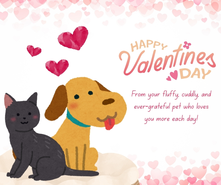 Animal Hospital of Manitoba Winnipeg