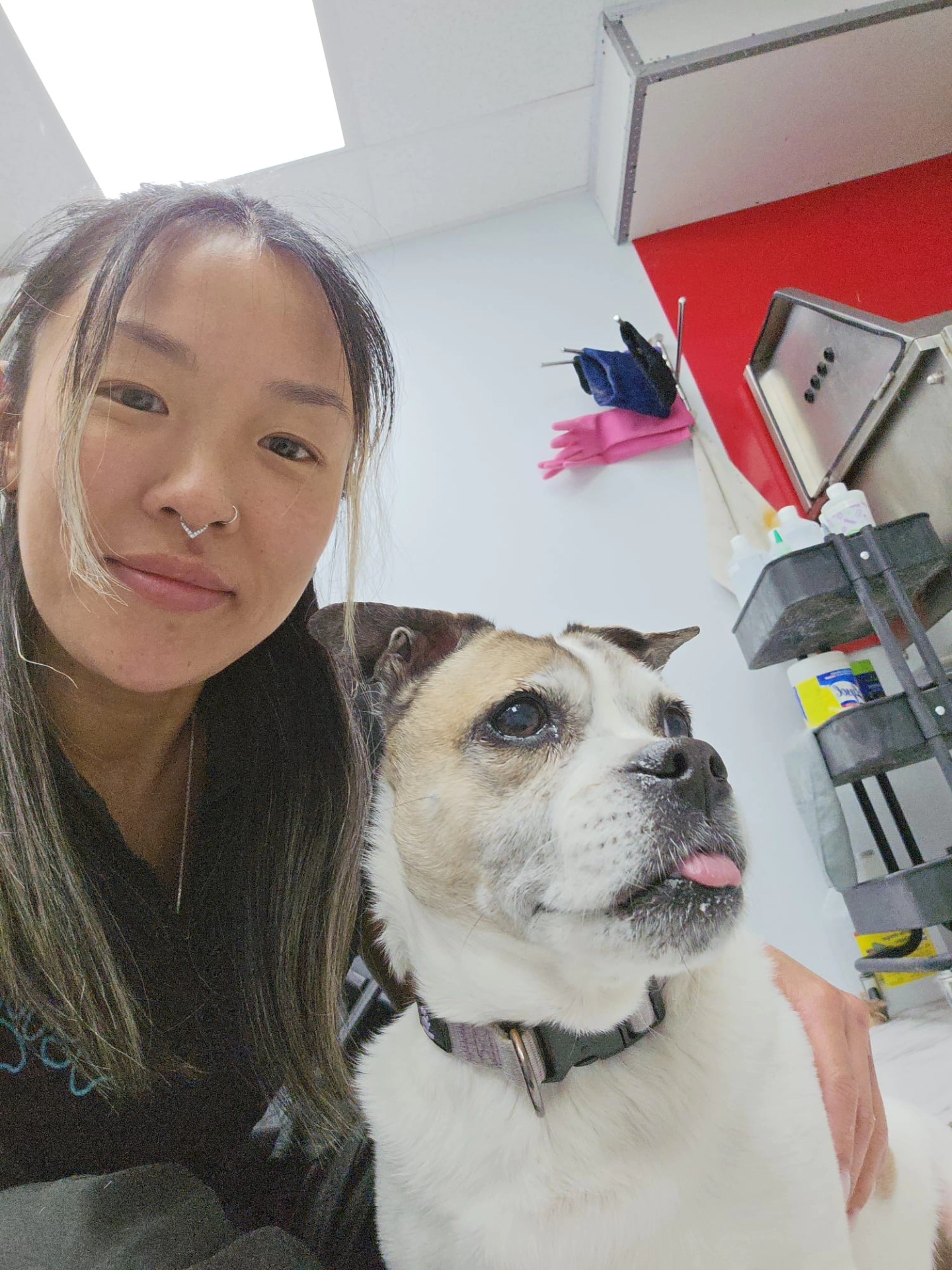 Pooches Playhouse Winnipeg