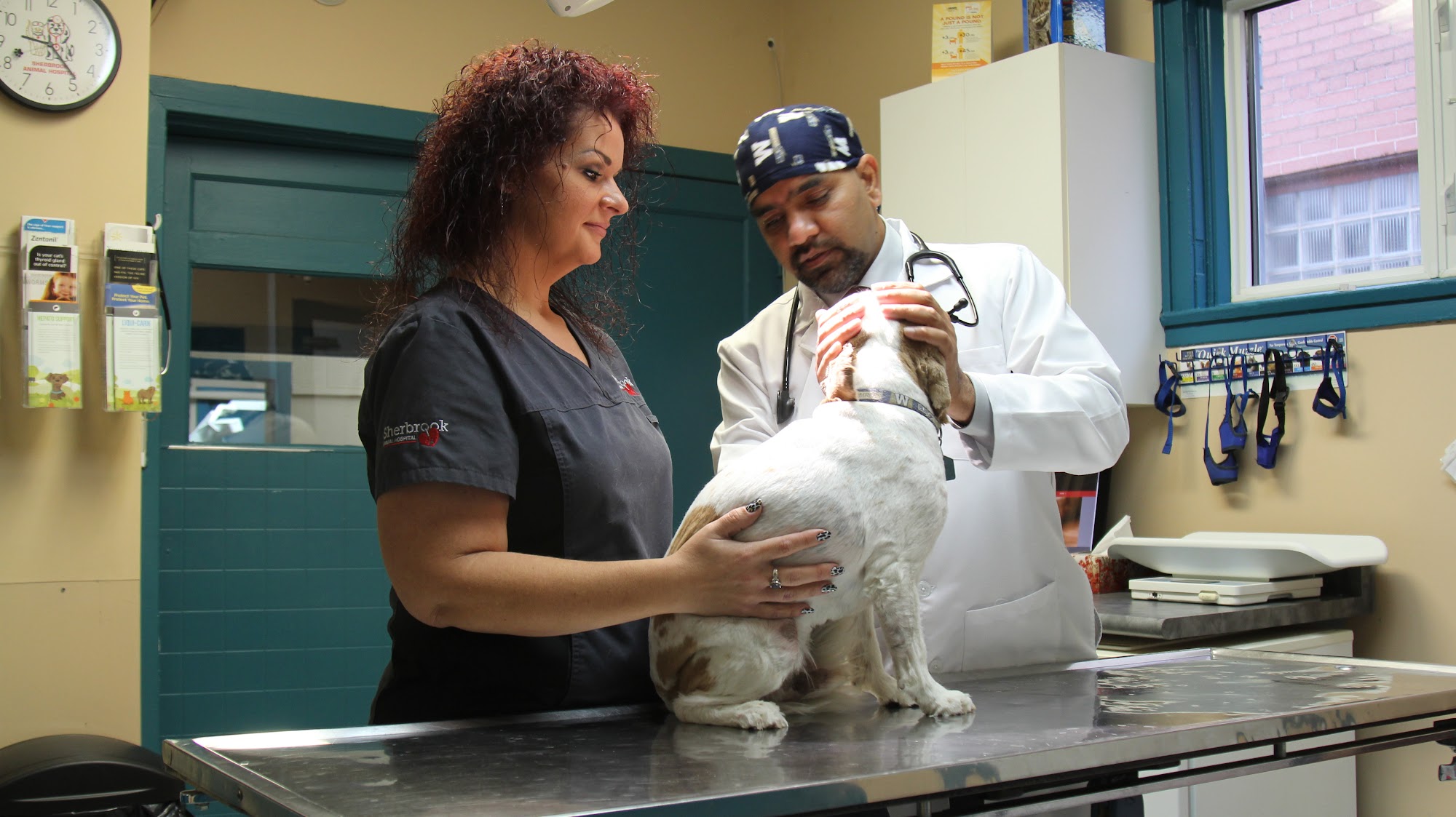 Sherbrook Animal Hospital Winnipeg