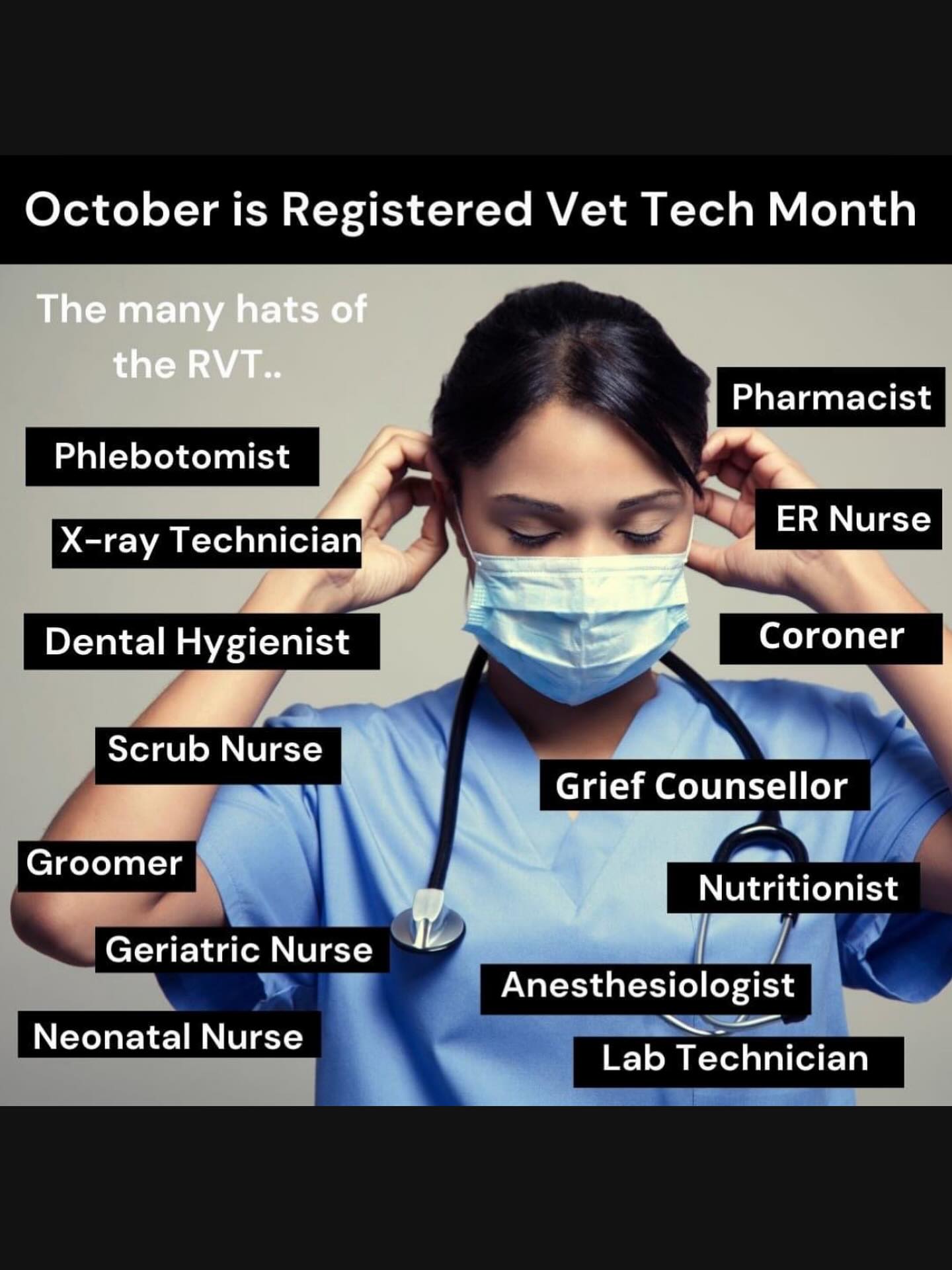 Dakota Veterinary Hospital Winnipeg