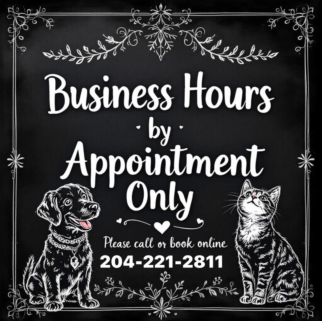shihtzus forever grooming services Winnipeg